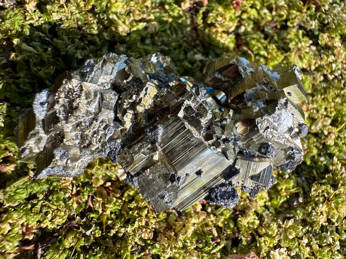 Pyrite & Galena