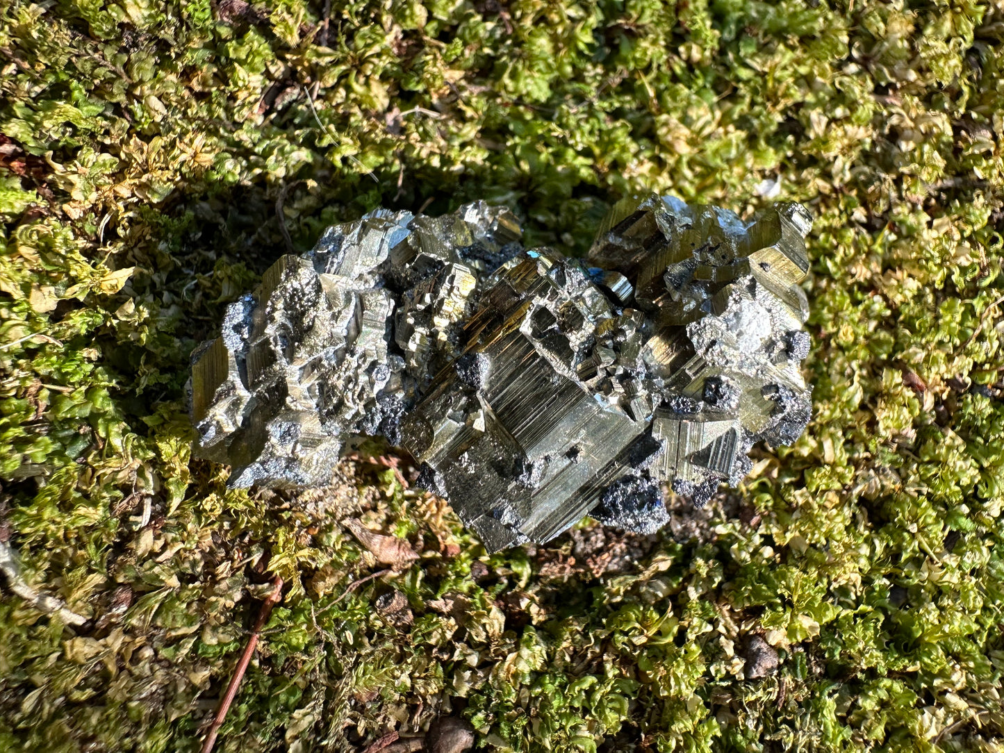 Pyrite & Galena