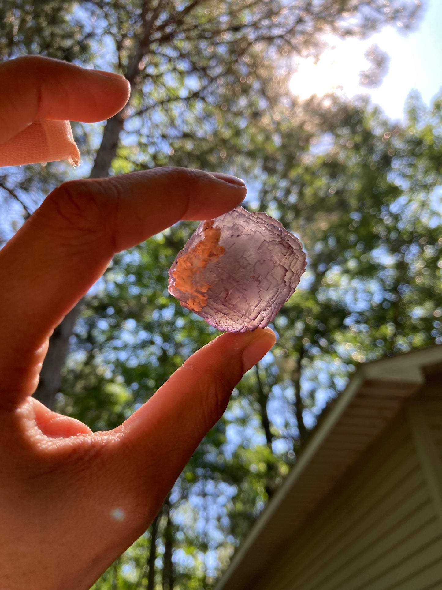 Fluorite Specimen Pair (2)