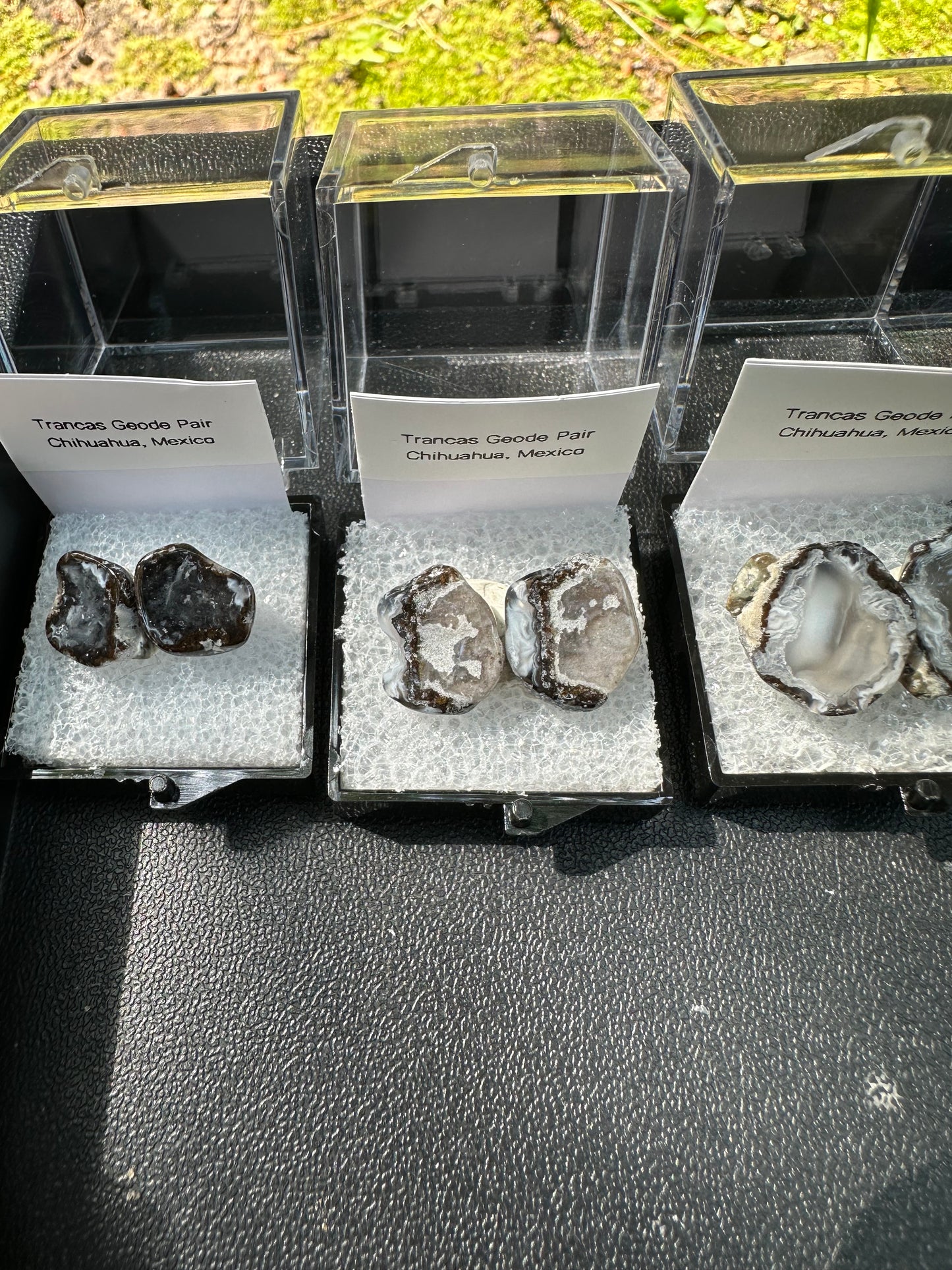 1 Micro Trancas Geode Pair Labeled & In Perky Box- Random Pick