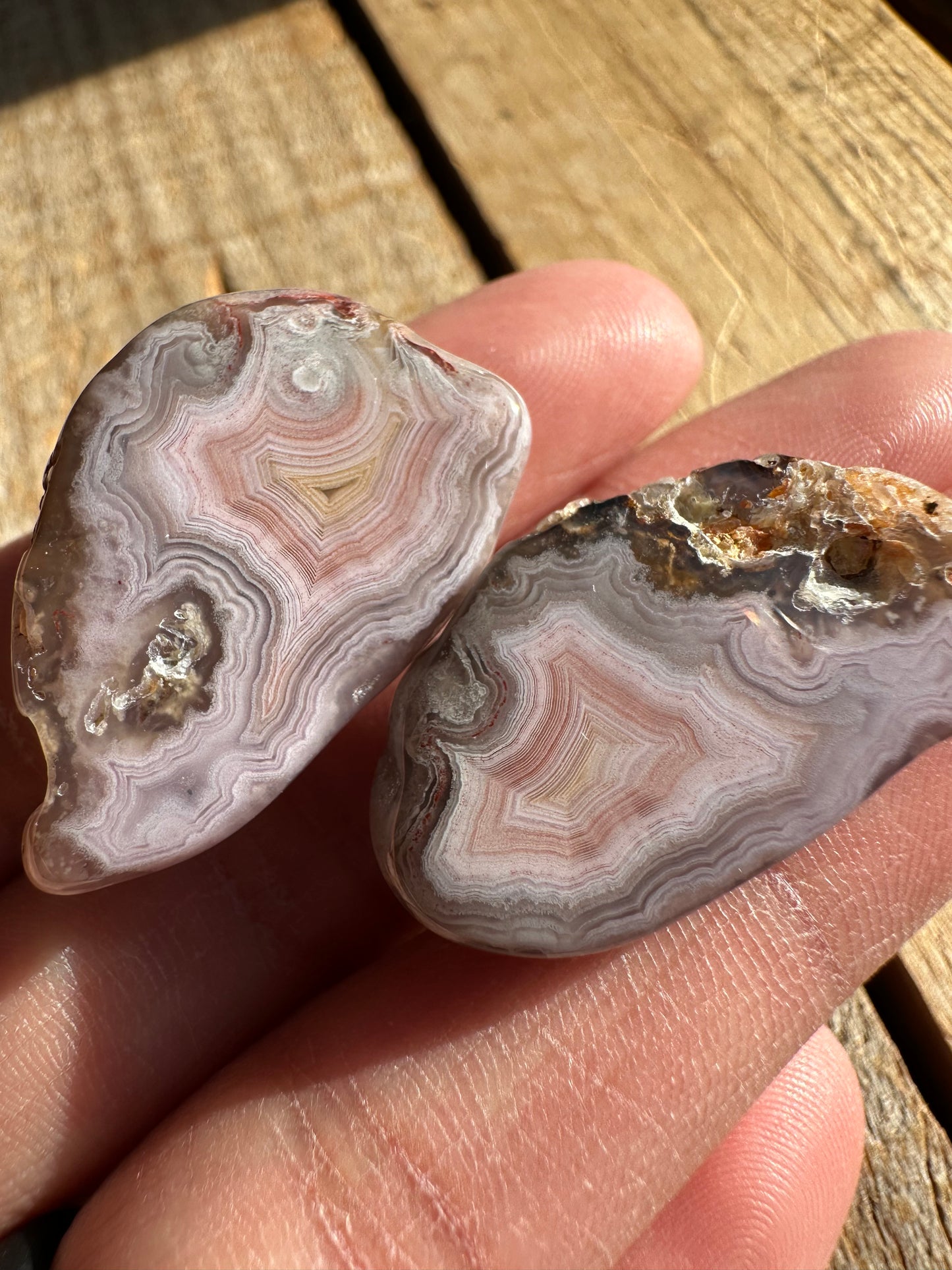 Polished Pink & Yellow Laguna Agate Pair