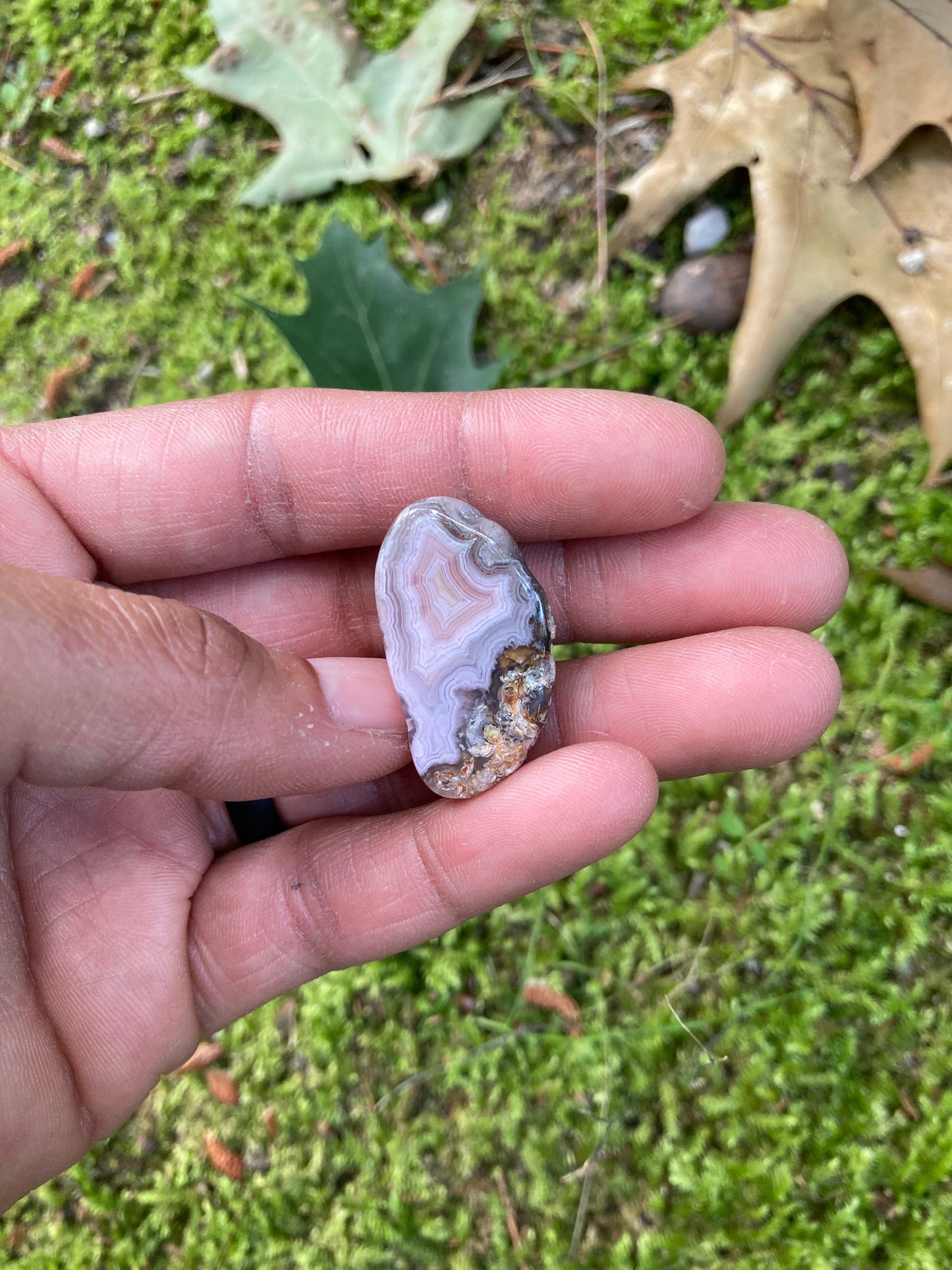 Polished Pink & Yellow Laguna Agate Pair
