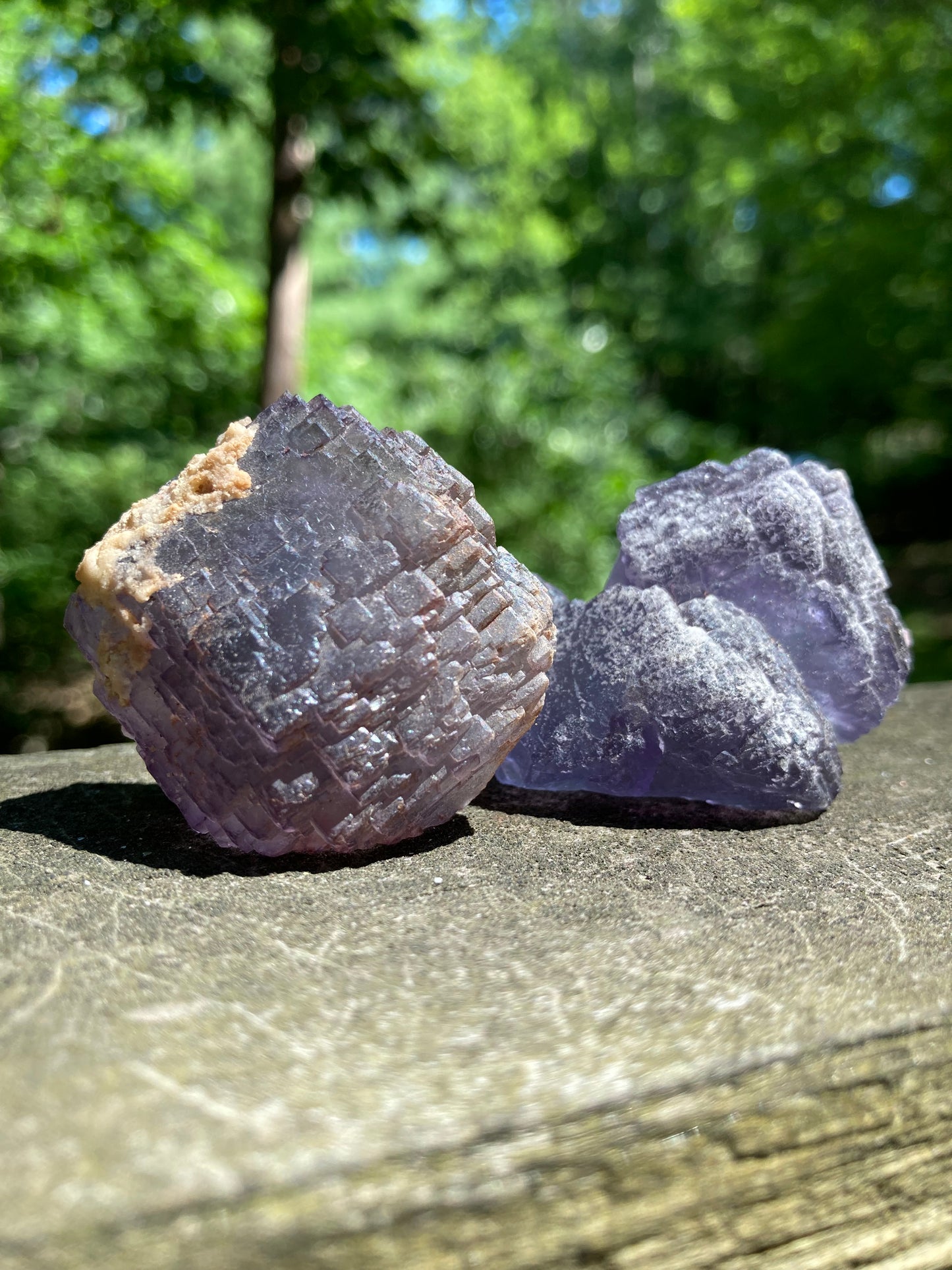 Fluorite Specimen Pair (2)