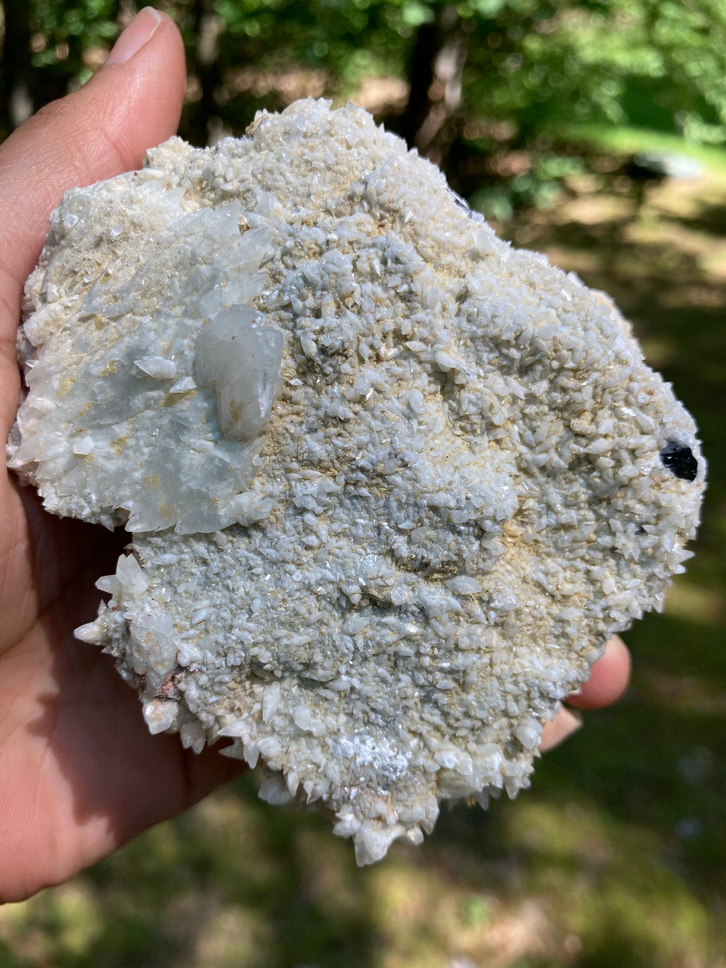 White Dogtooth Calcite Cluster