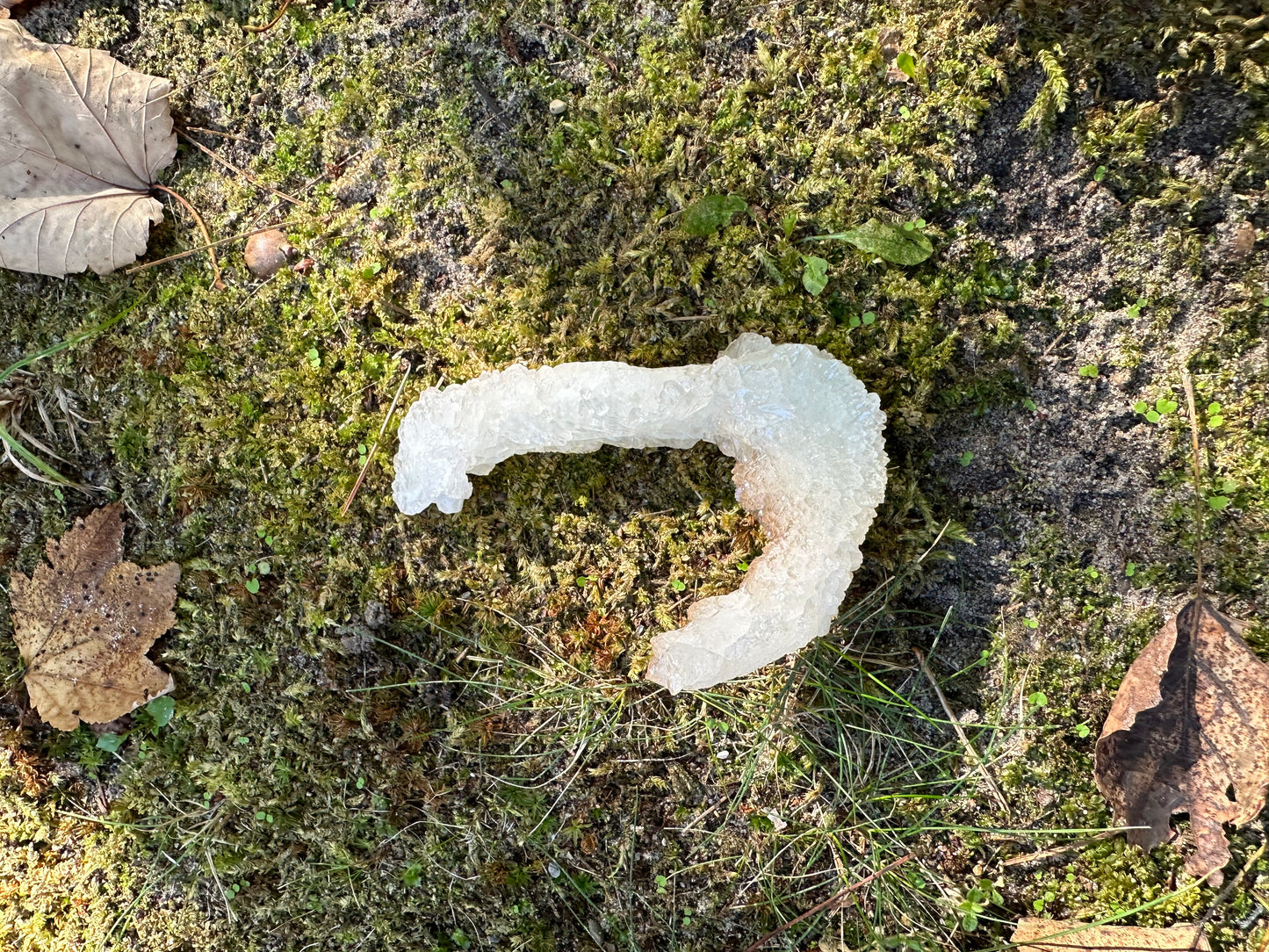 J Shaped Stalactite