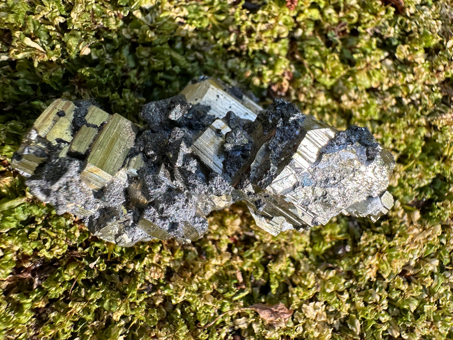 Pyrite & Galena