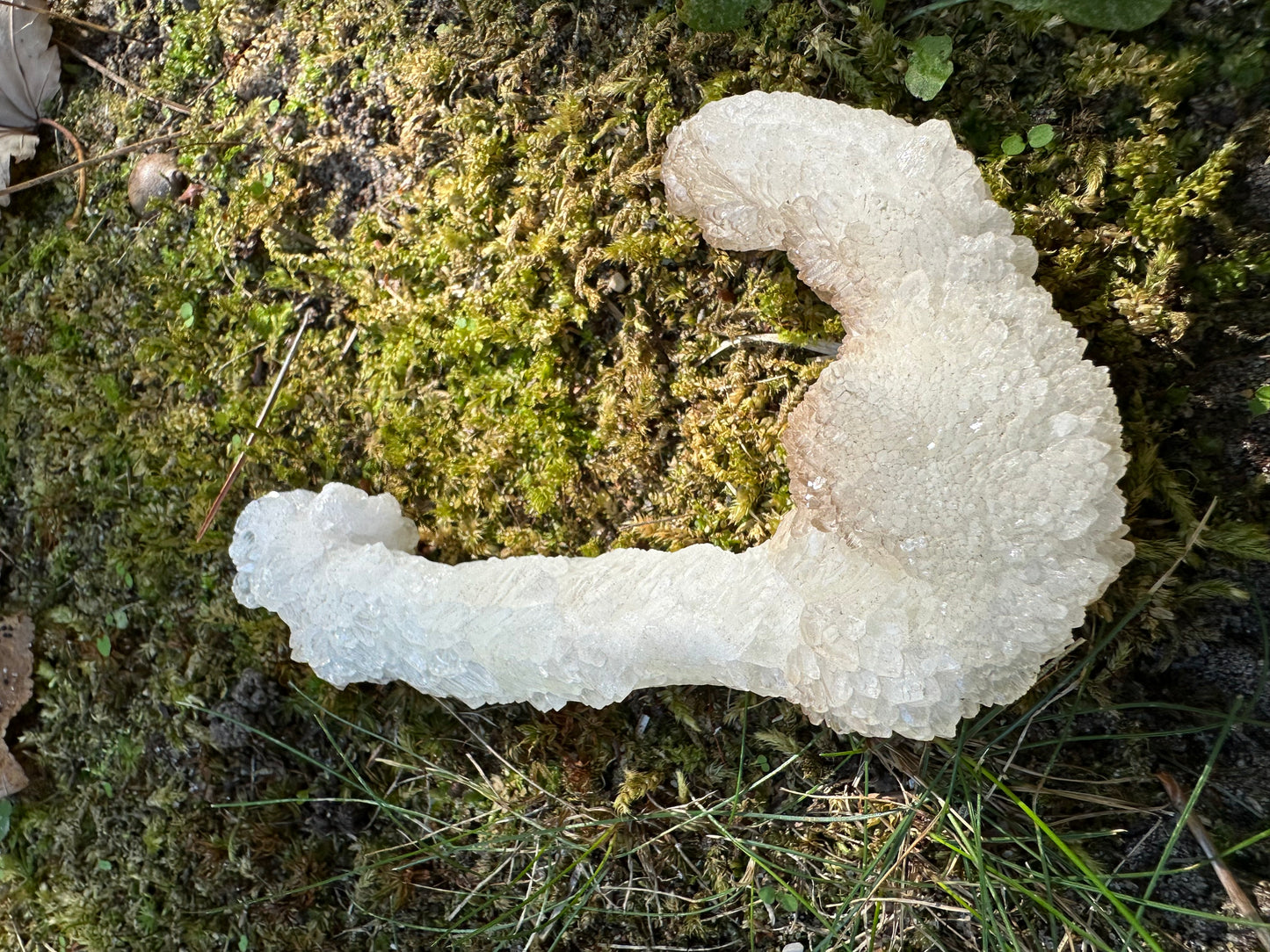 J Shaped Stalactite
