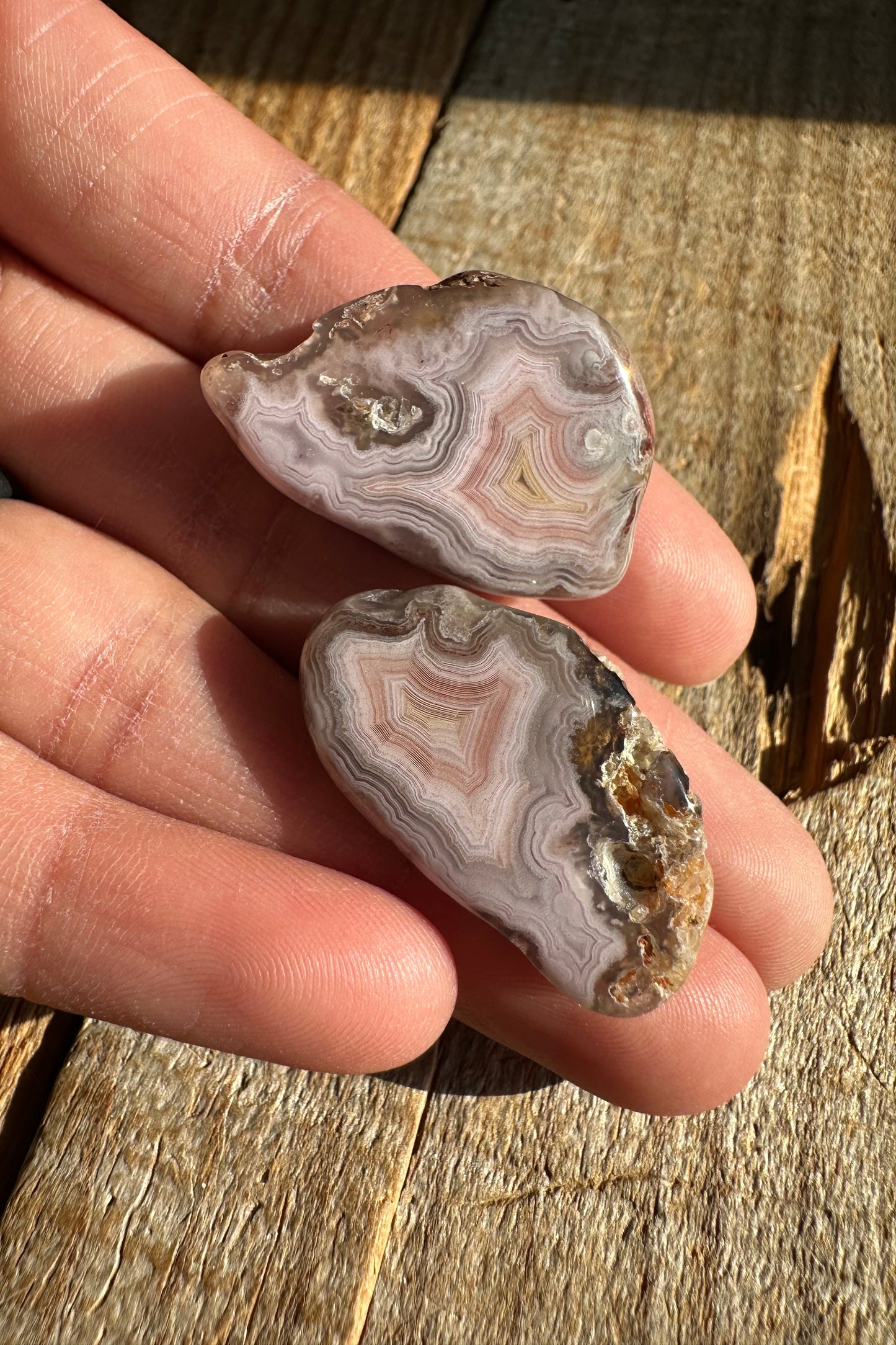 Polished Pink & Yellow Laguna Agate Pair