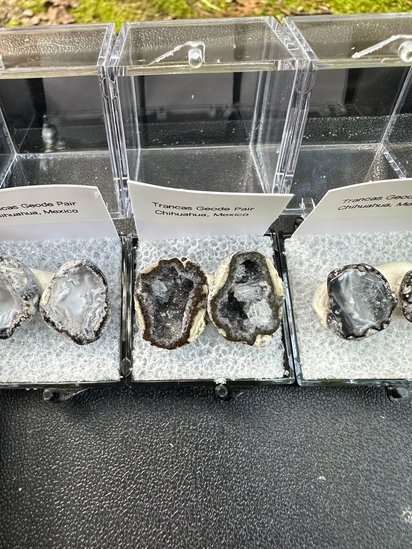 1 Micro Trancas Geode Pair Labeled & In Perky Box- Random Pick