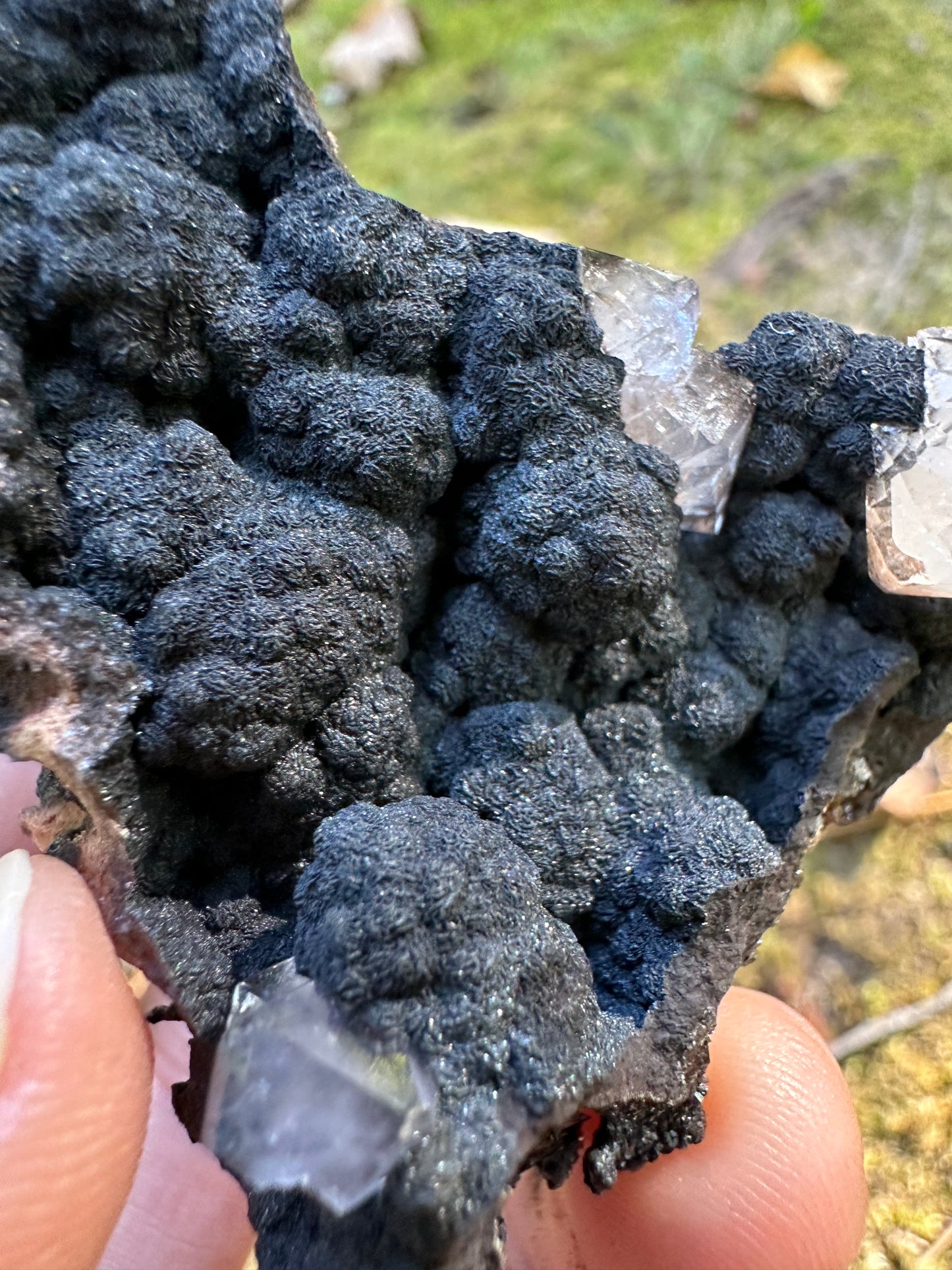 Botryoidal Goethite & Quartz