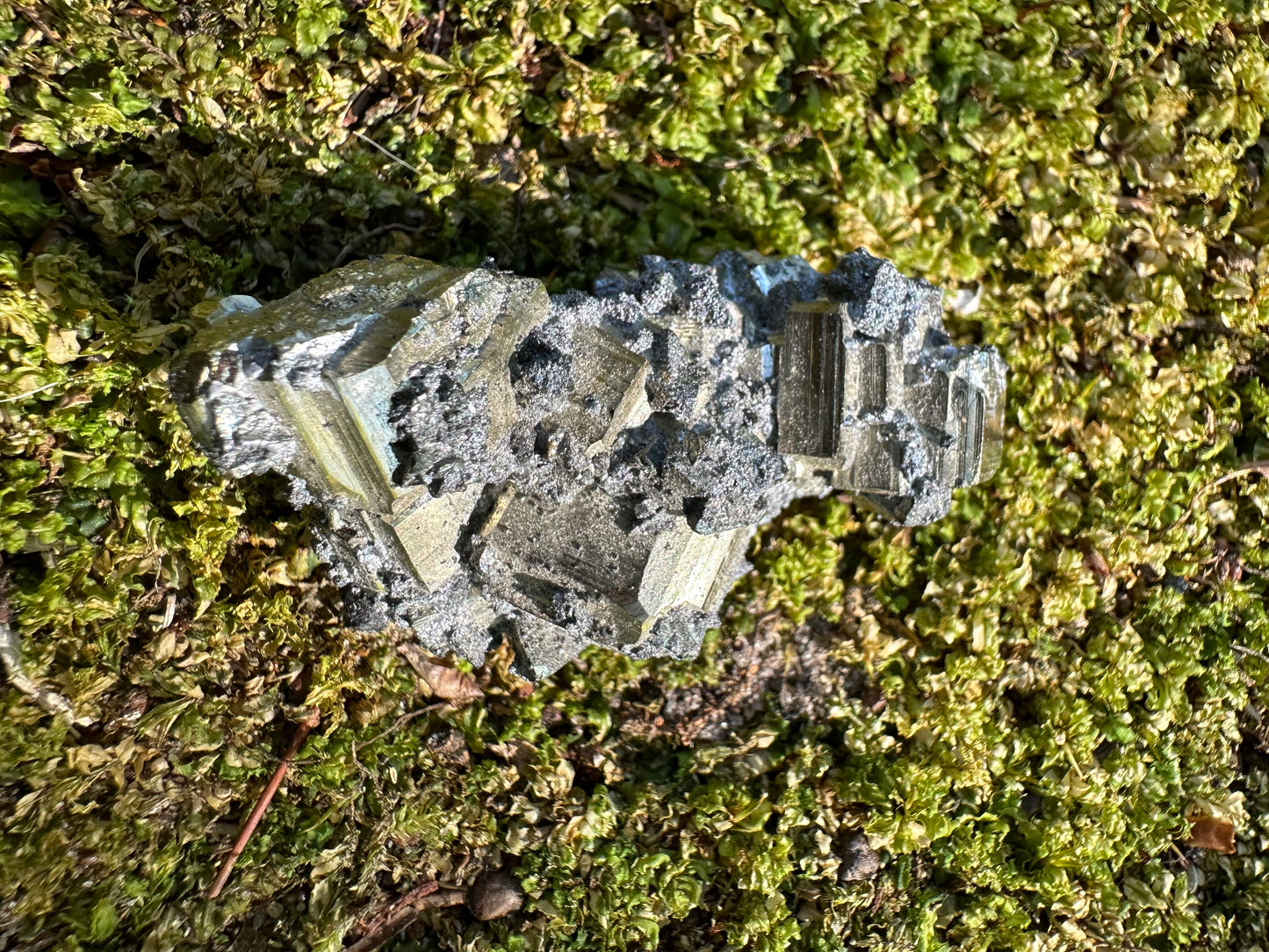 Pyrite & Galena