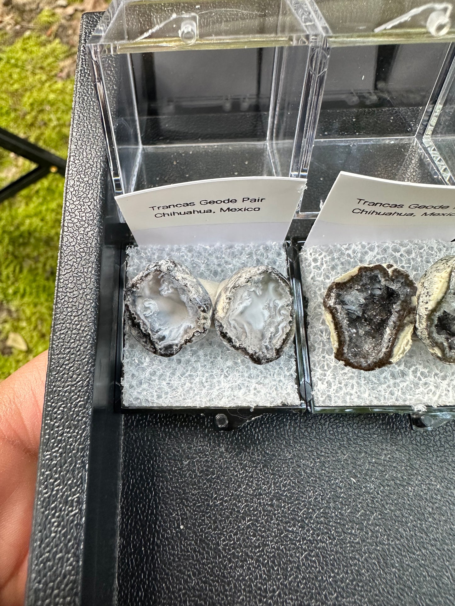 1 Micro Trancas Geode Pair Labeled & In Perky Box- Random Pick