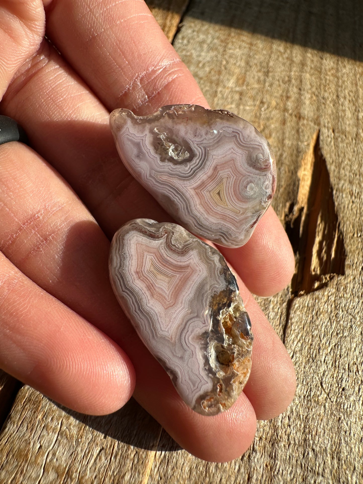 Polished Pink & Yellow Laguna Agate Pair