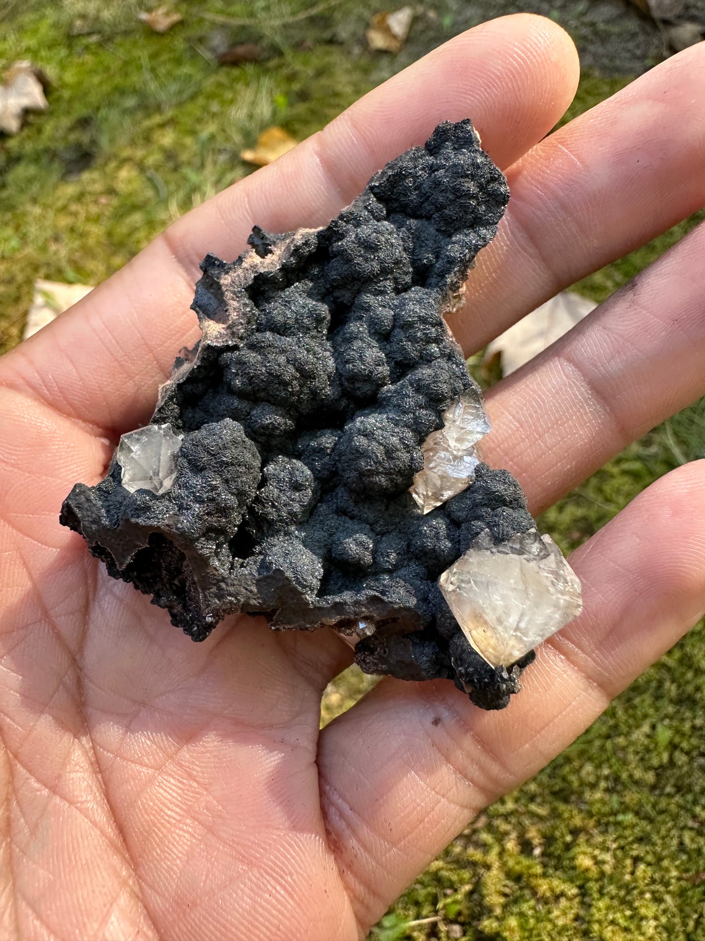Botryoidal Goethite & Quartz