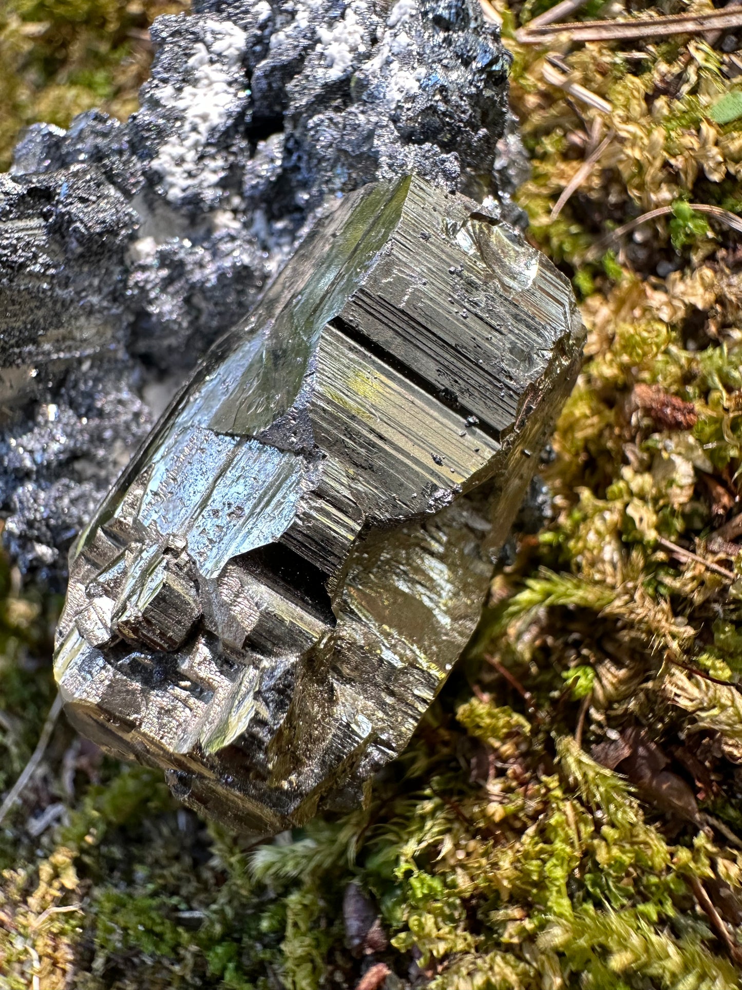 Pyrite Galena