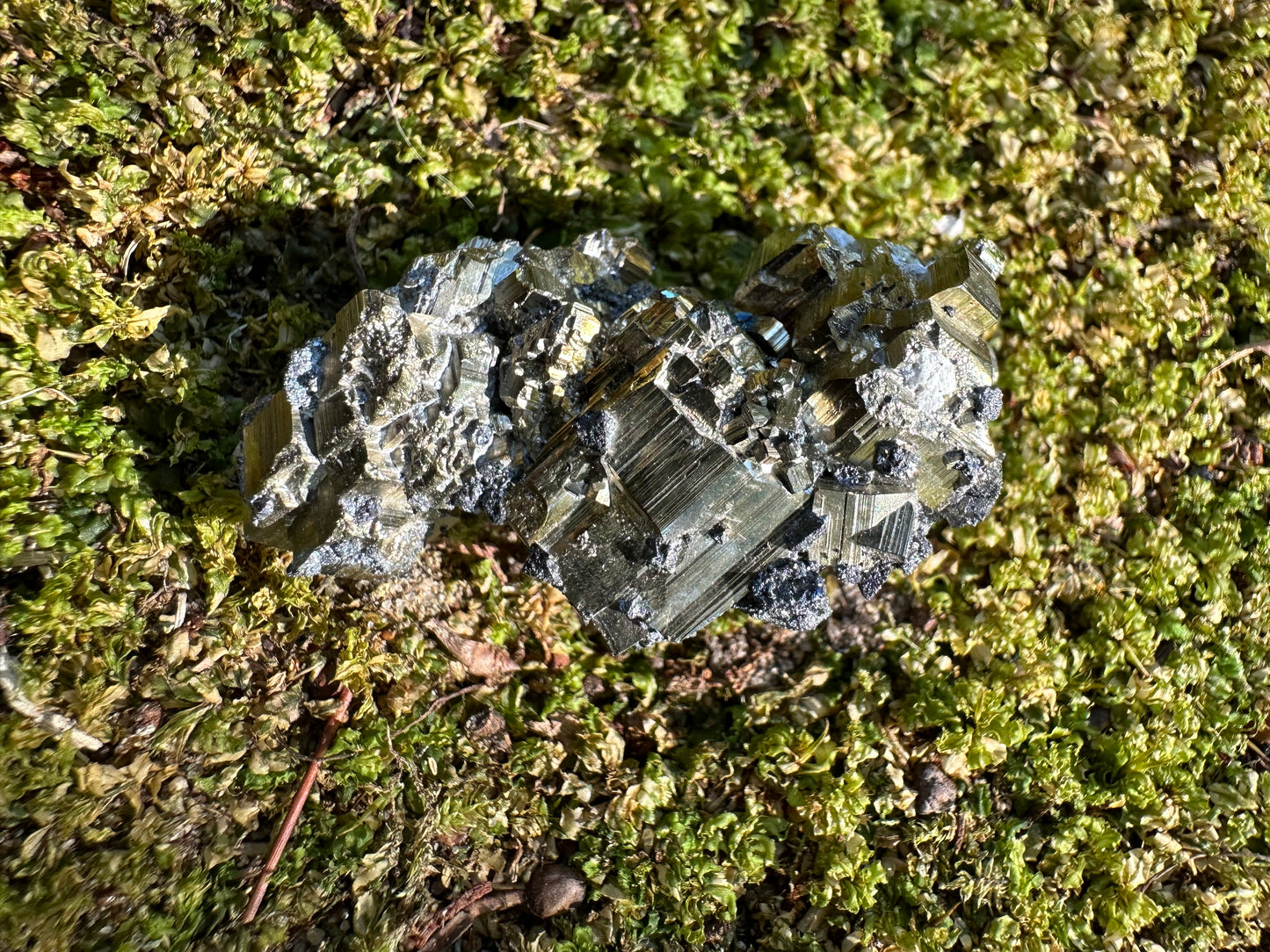 Pyrite & Galena