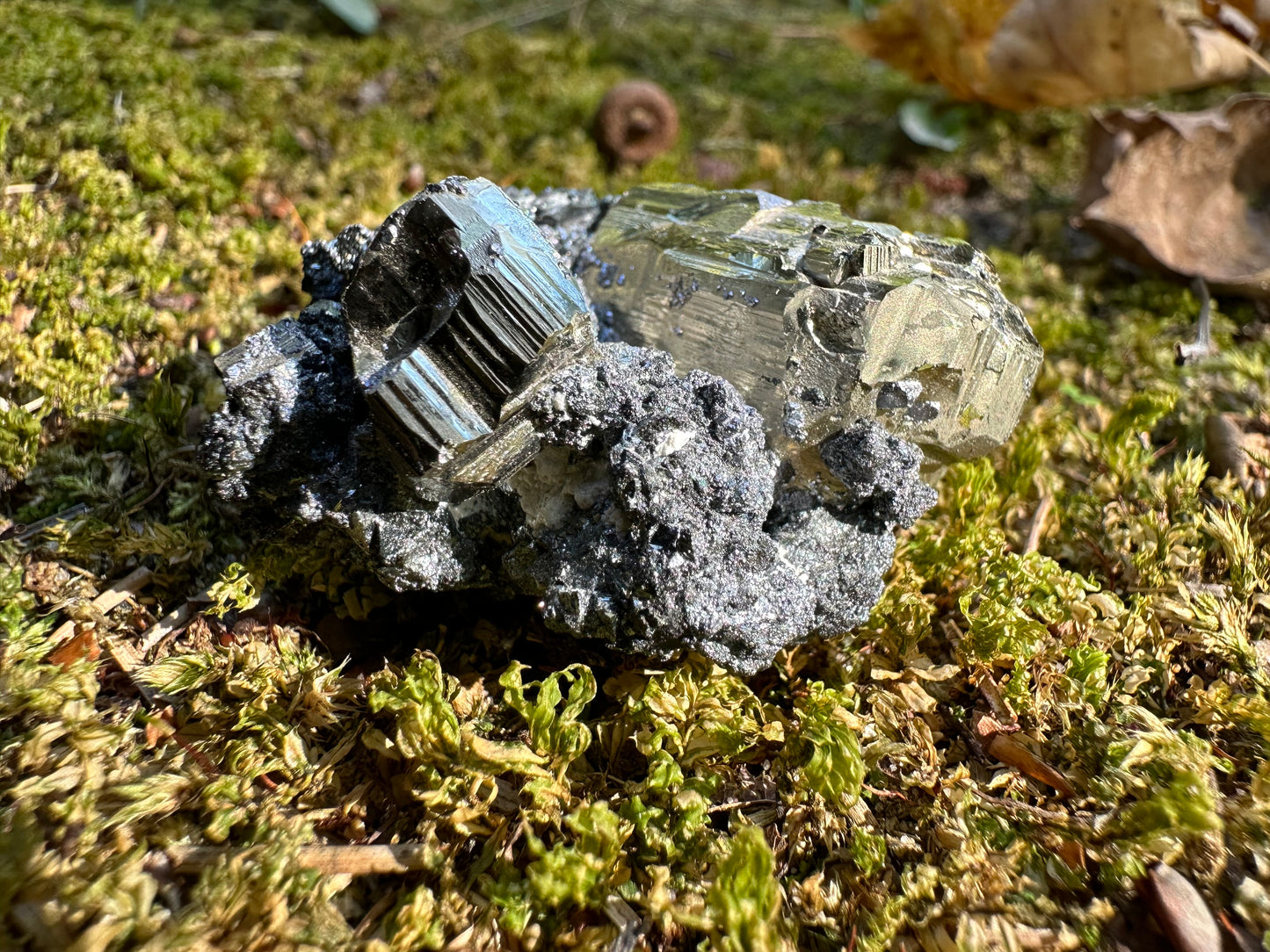 Pyrite Galena