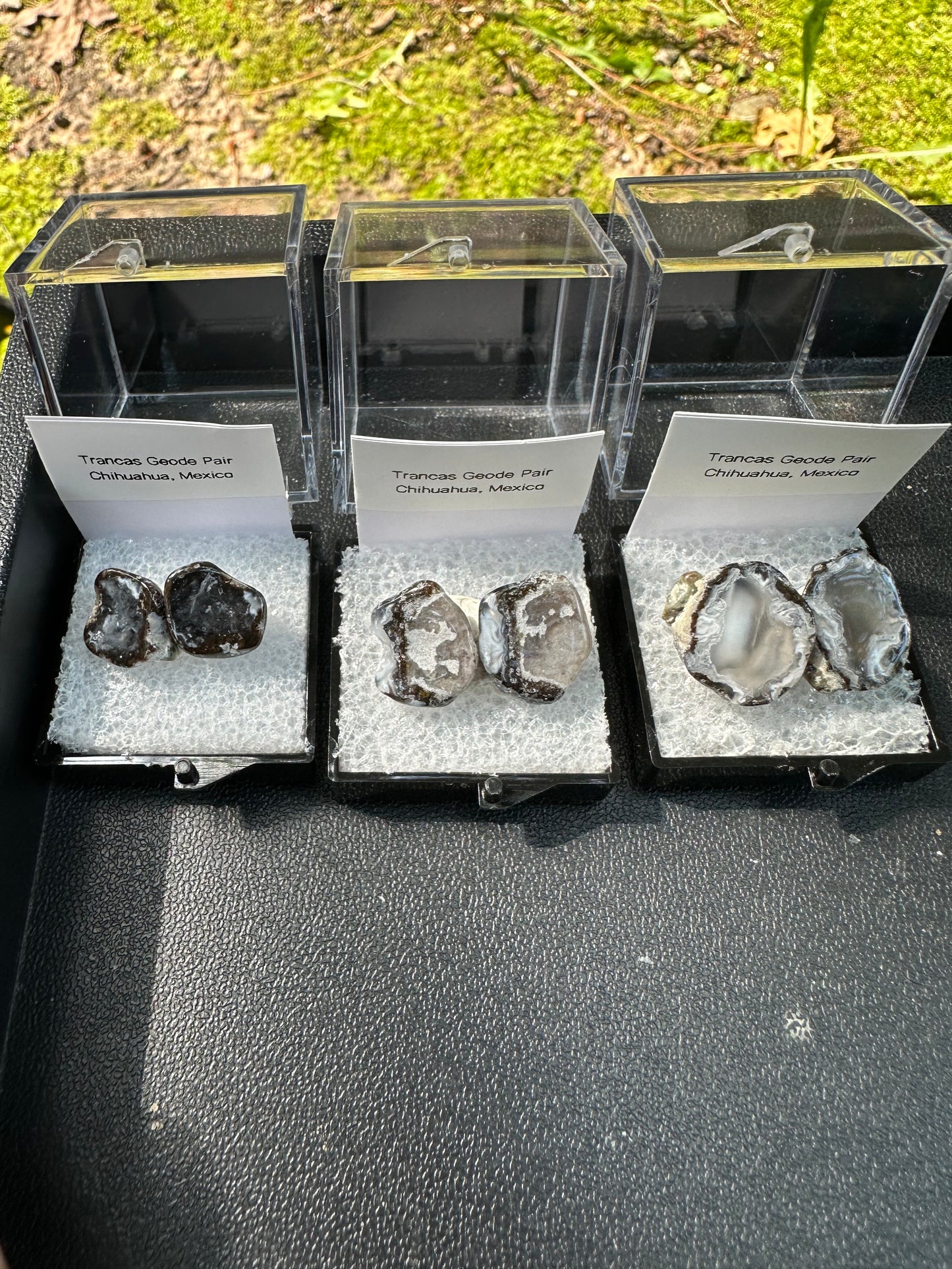 1 Micro Trancas Geode Pair Labeled & In Perky Box- Random Pick