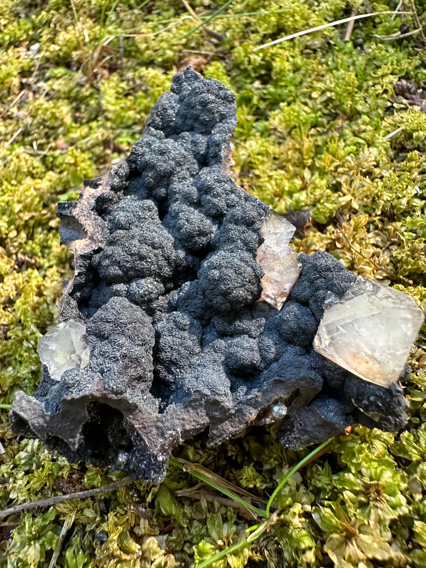 Botryoidal Goethite & Quartz