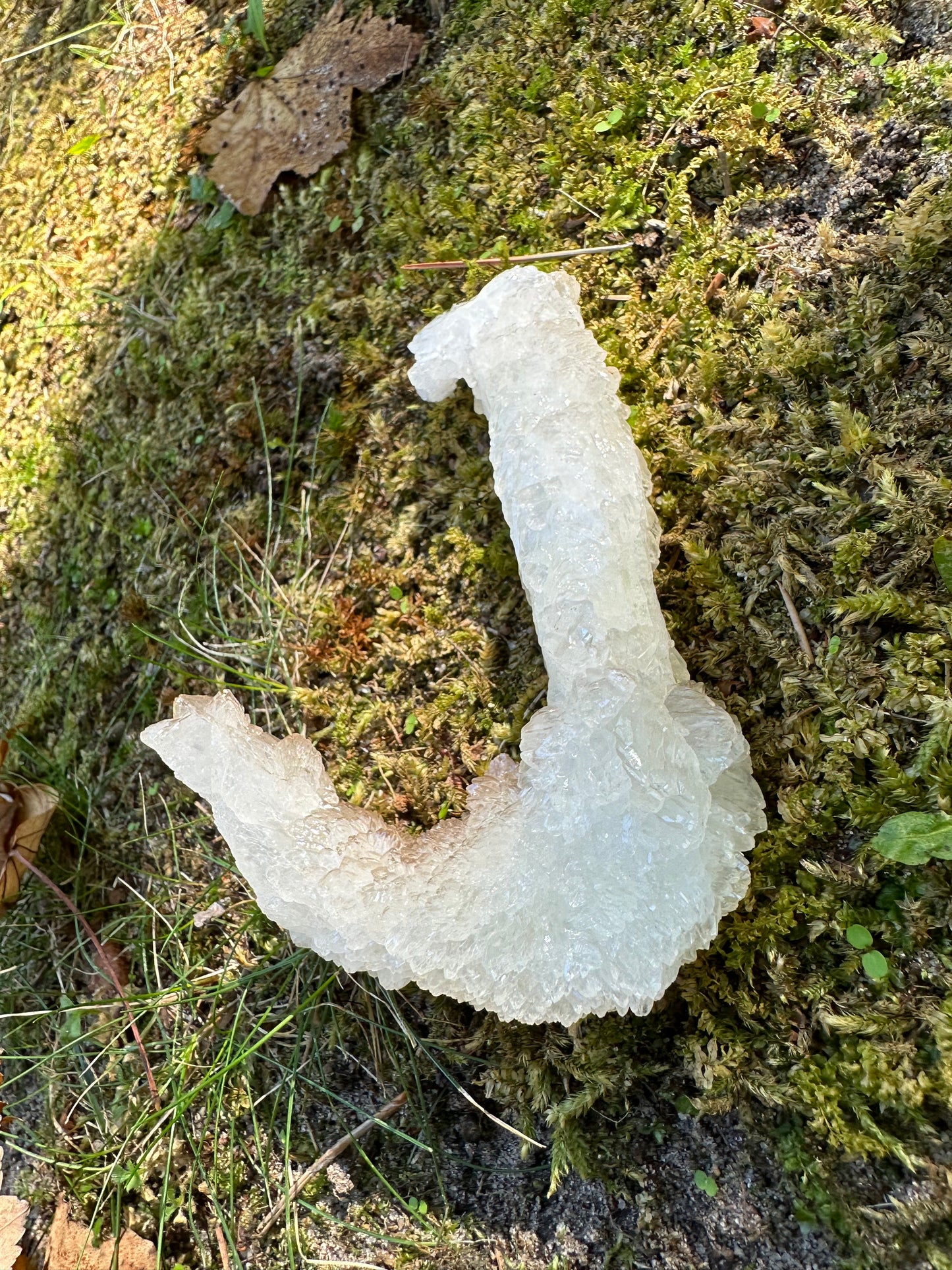 J Shaped Stalactite