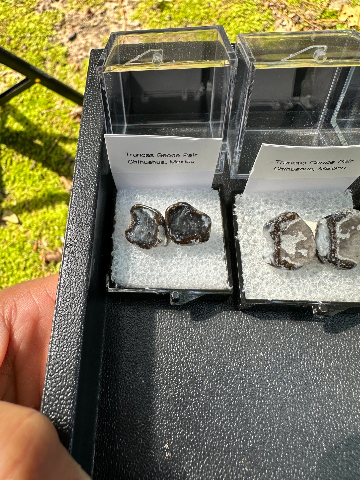 1 Micro Trancas Geode Pair Labeled & In Perky Box- Random Pick