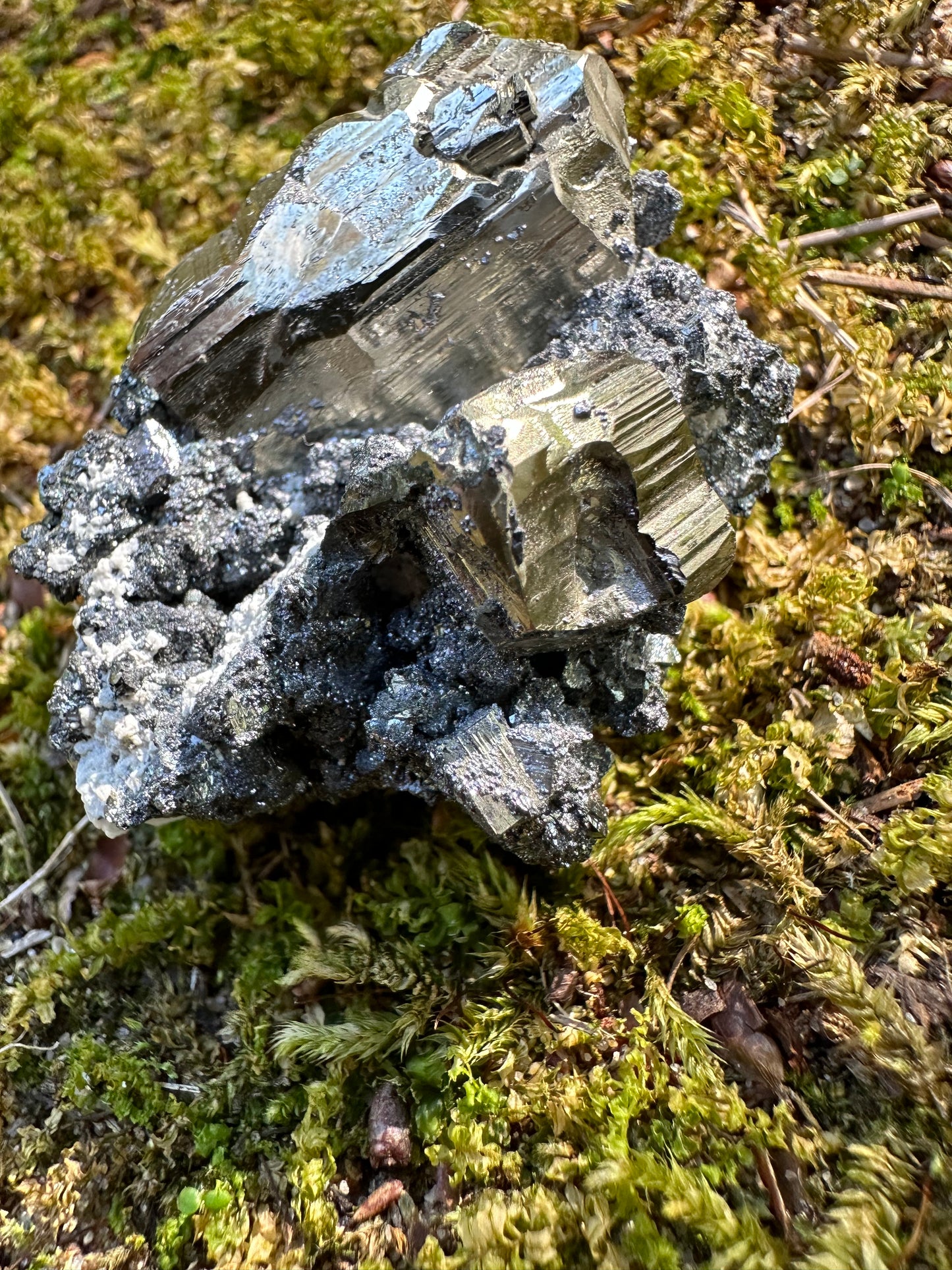 Pyrite Galena