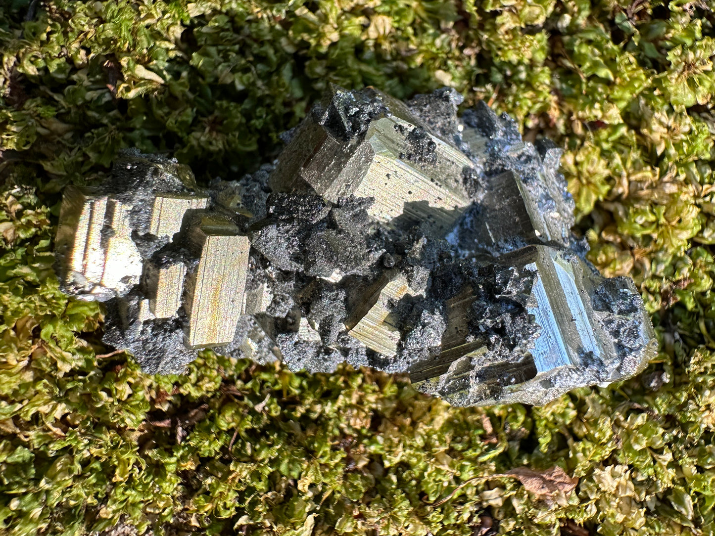 Pyrite & Galena