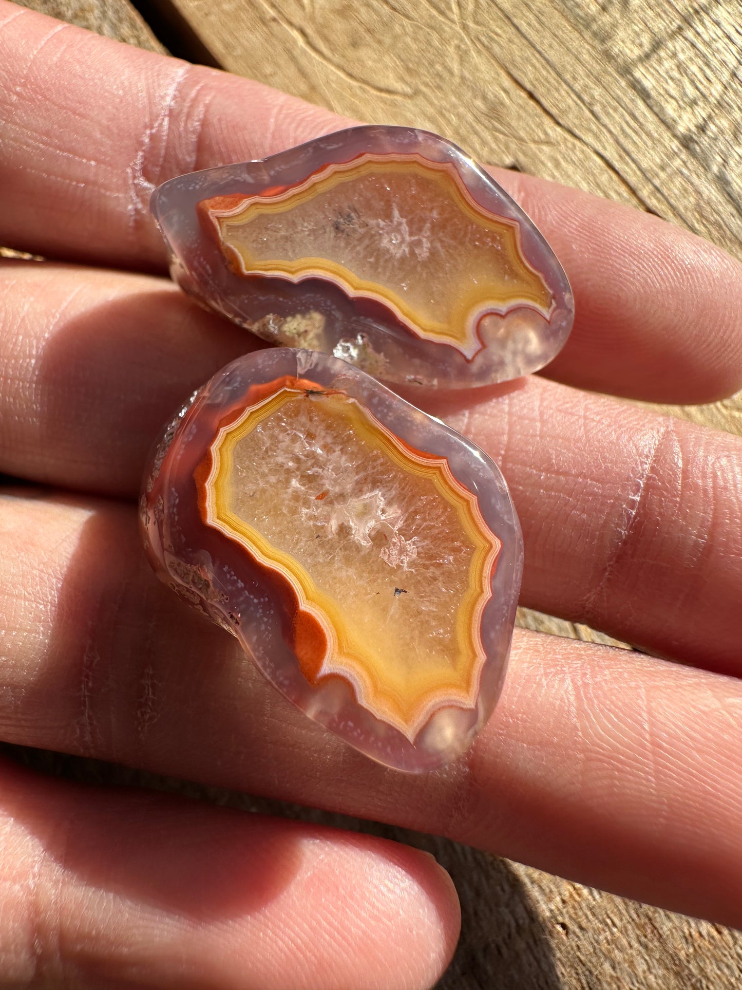 Polished Orange & Red Flame Laguna Agate Floater Pair
