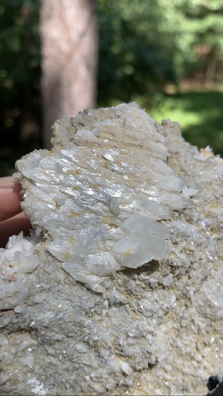 White Dogtooth Calcite Cluster