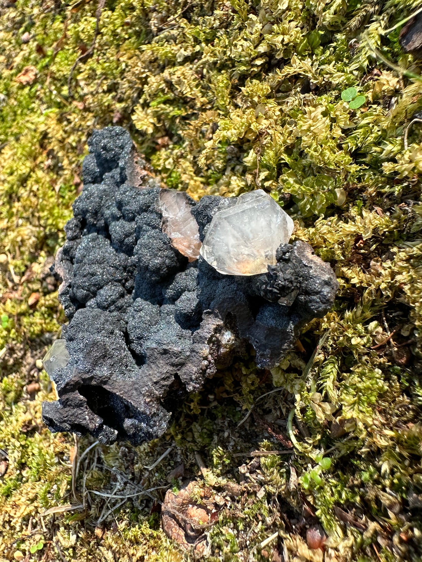 Botryoidal Goethite & Quartz