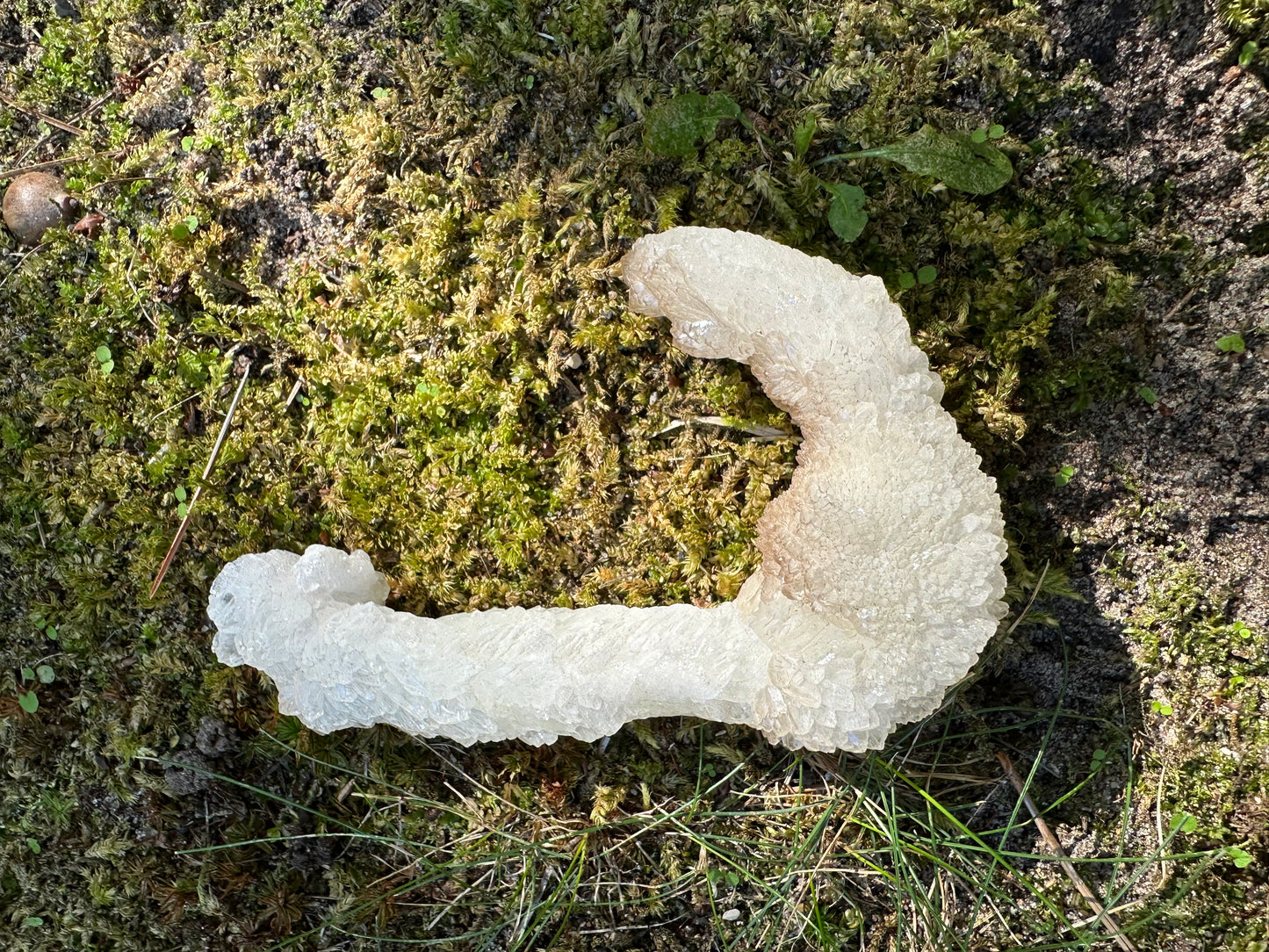 J Shaped Stalactite