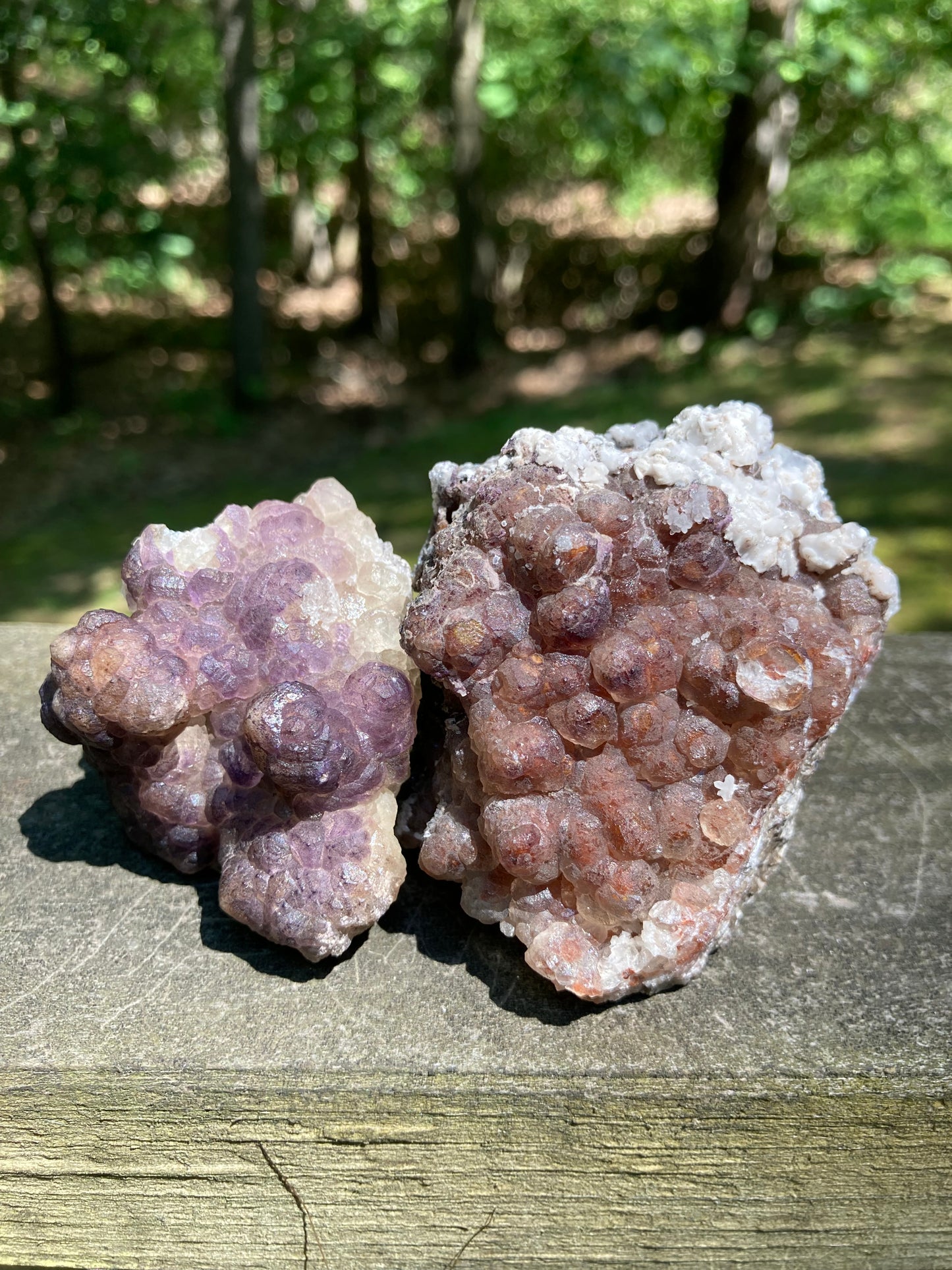 Botryoidal Fluorite Specimen Pair (2)