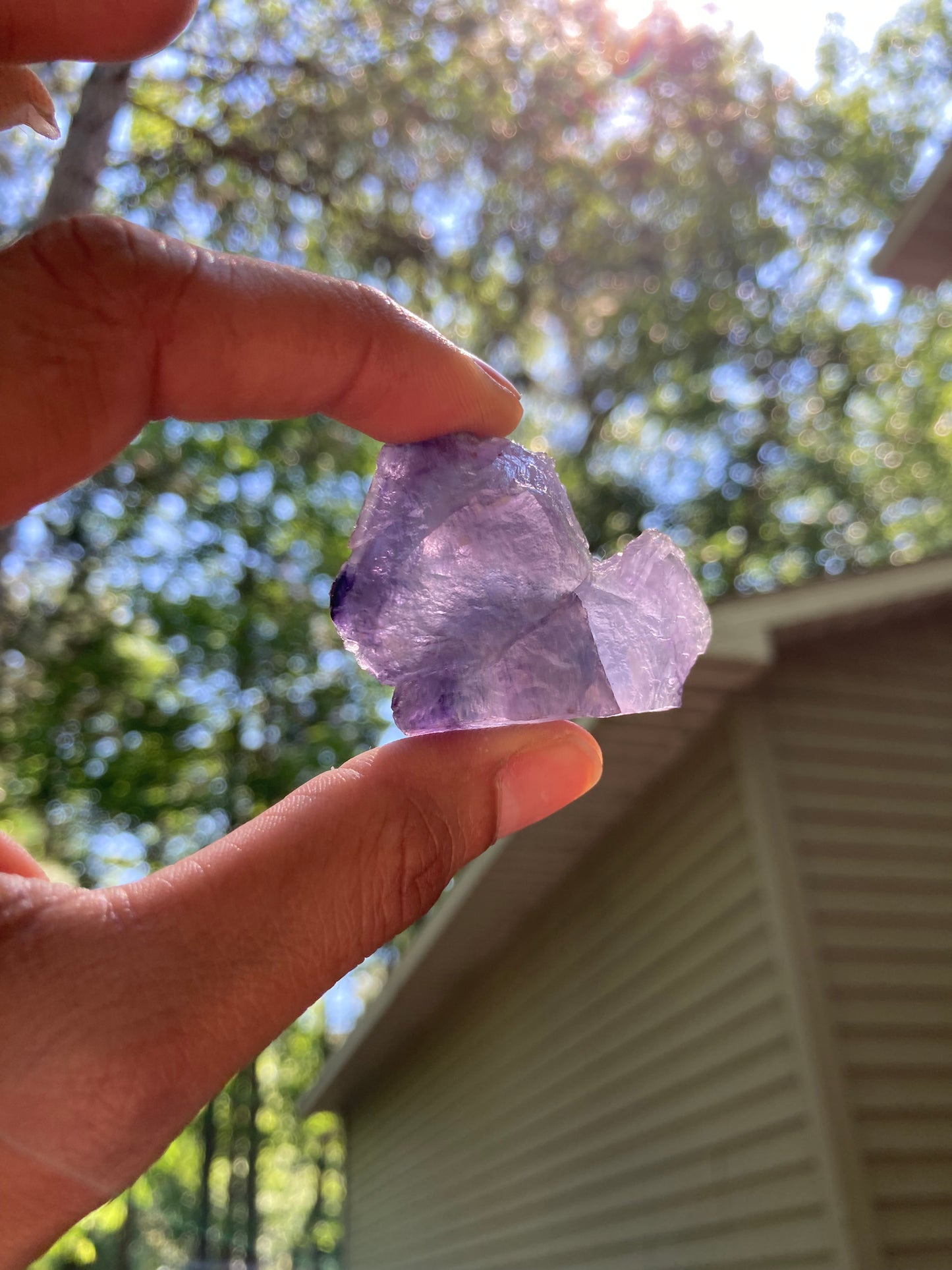 Fluorite Specimen Pair (2)