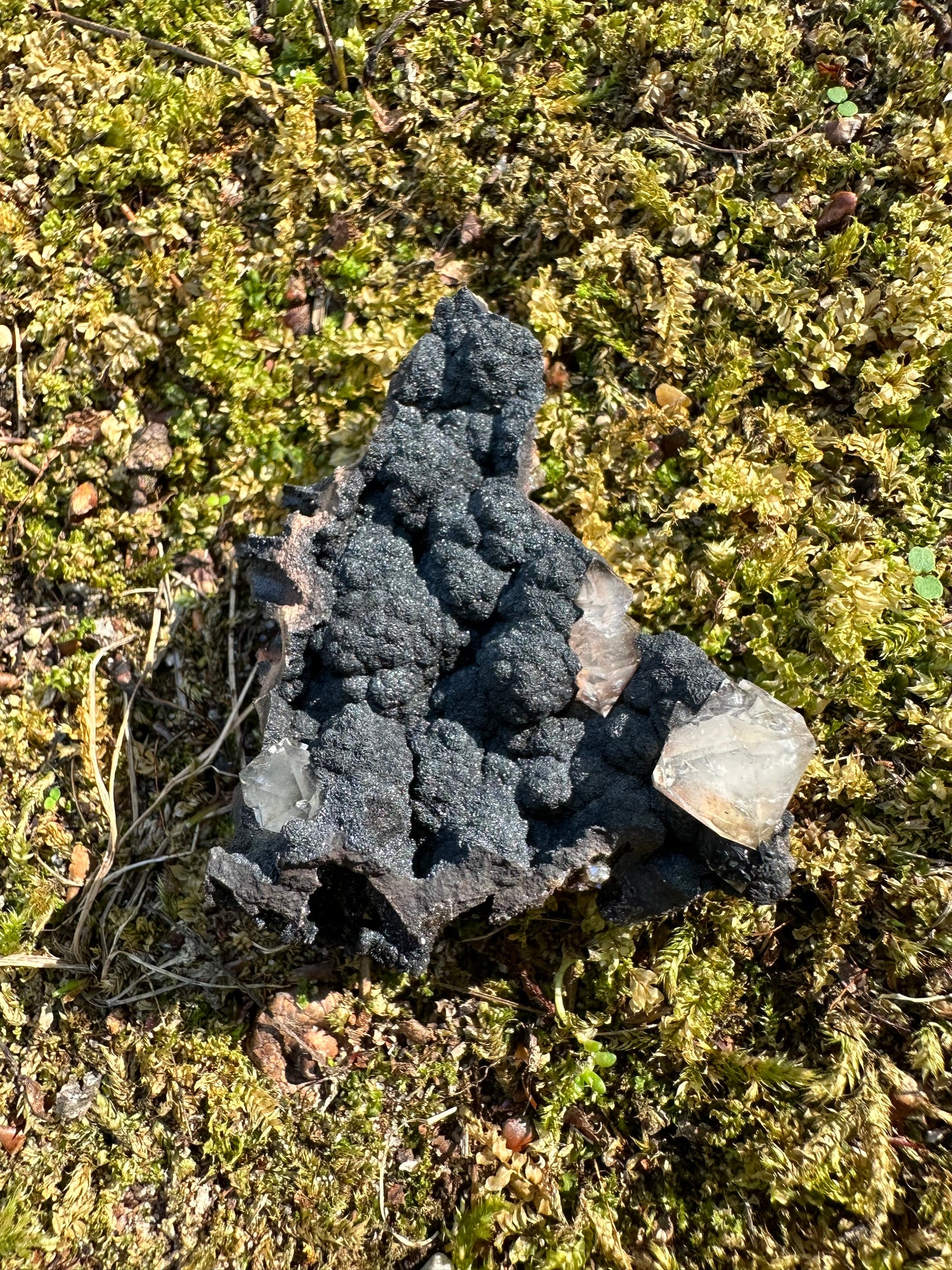 Botryoidal Goethite & Quartz