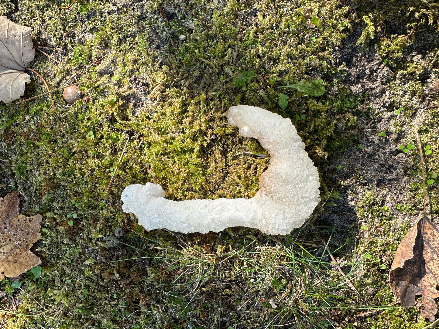 J Shaped Stalactite