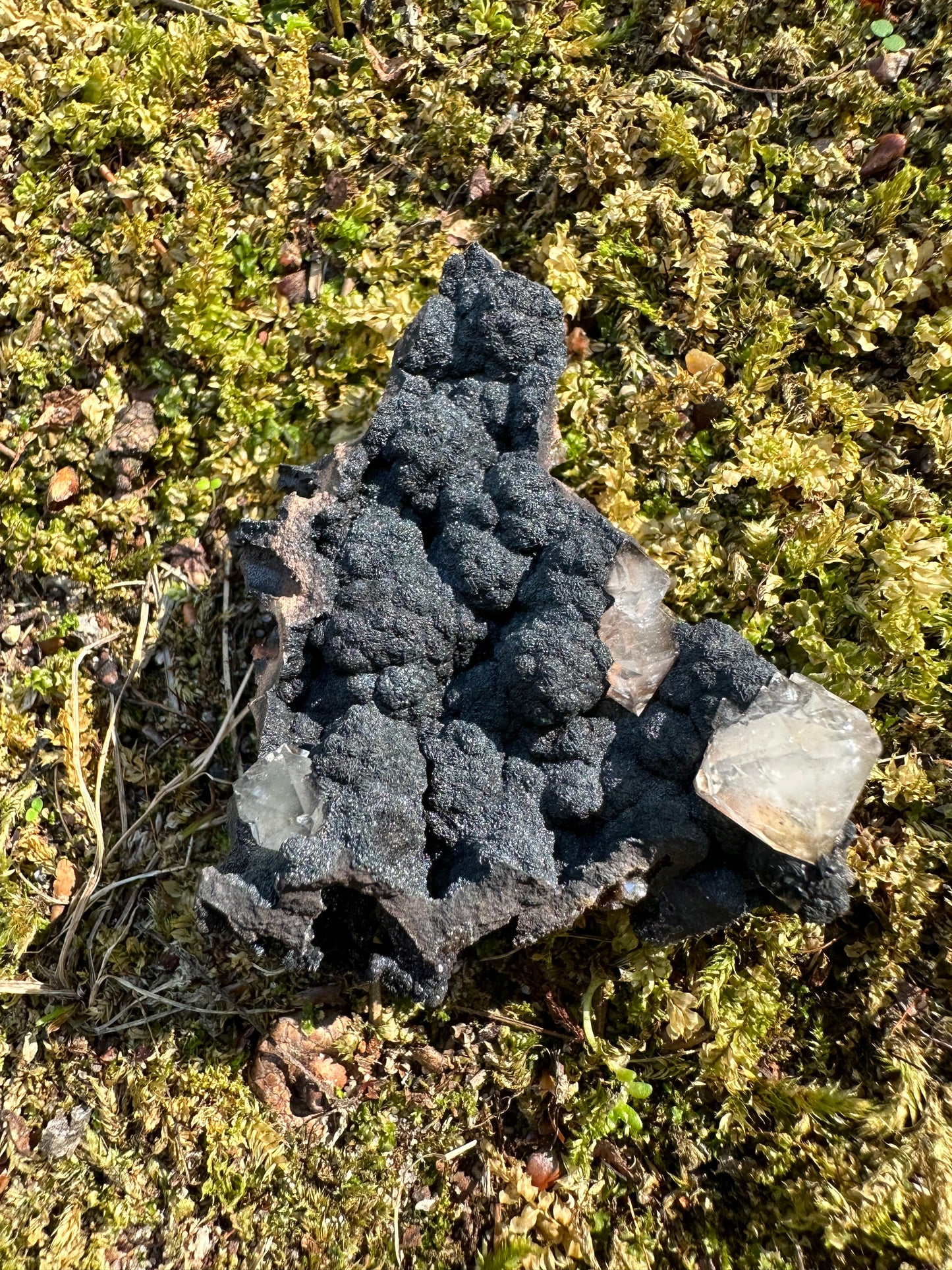 Botryoidal Goethite & Quartz