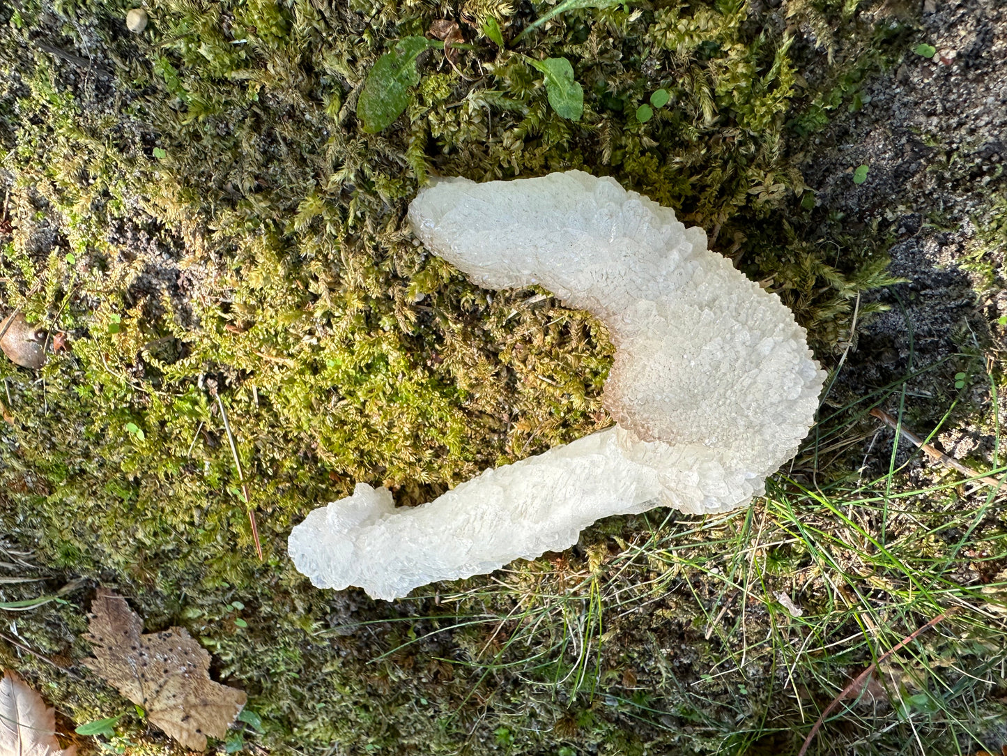 J Shaped Stalactite