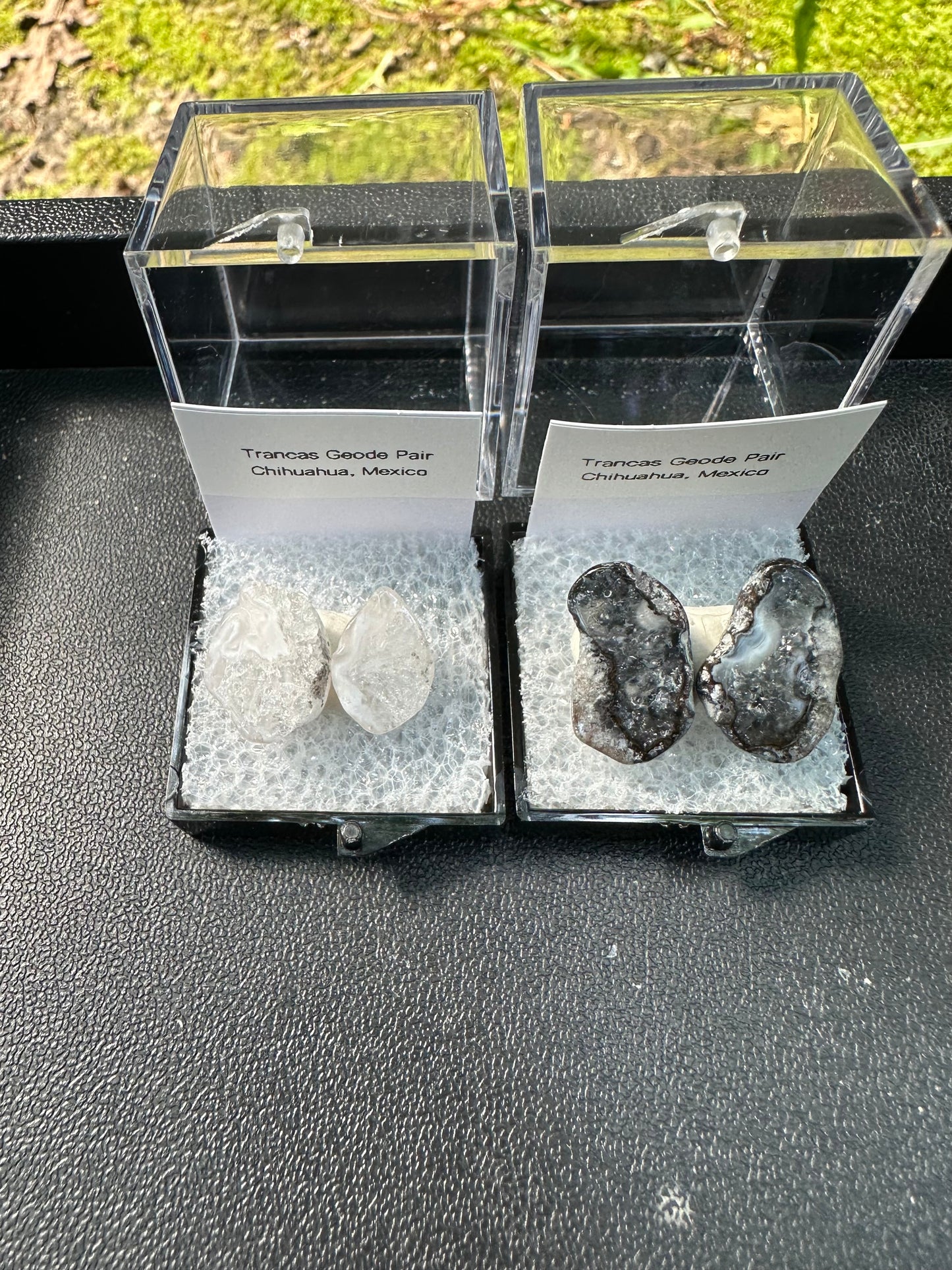 1 Micro Trancas Geode Pair Labeled & In Perky Box- Random Pick
