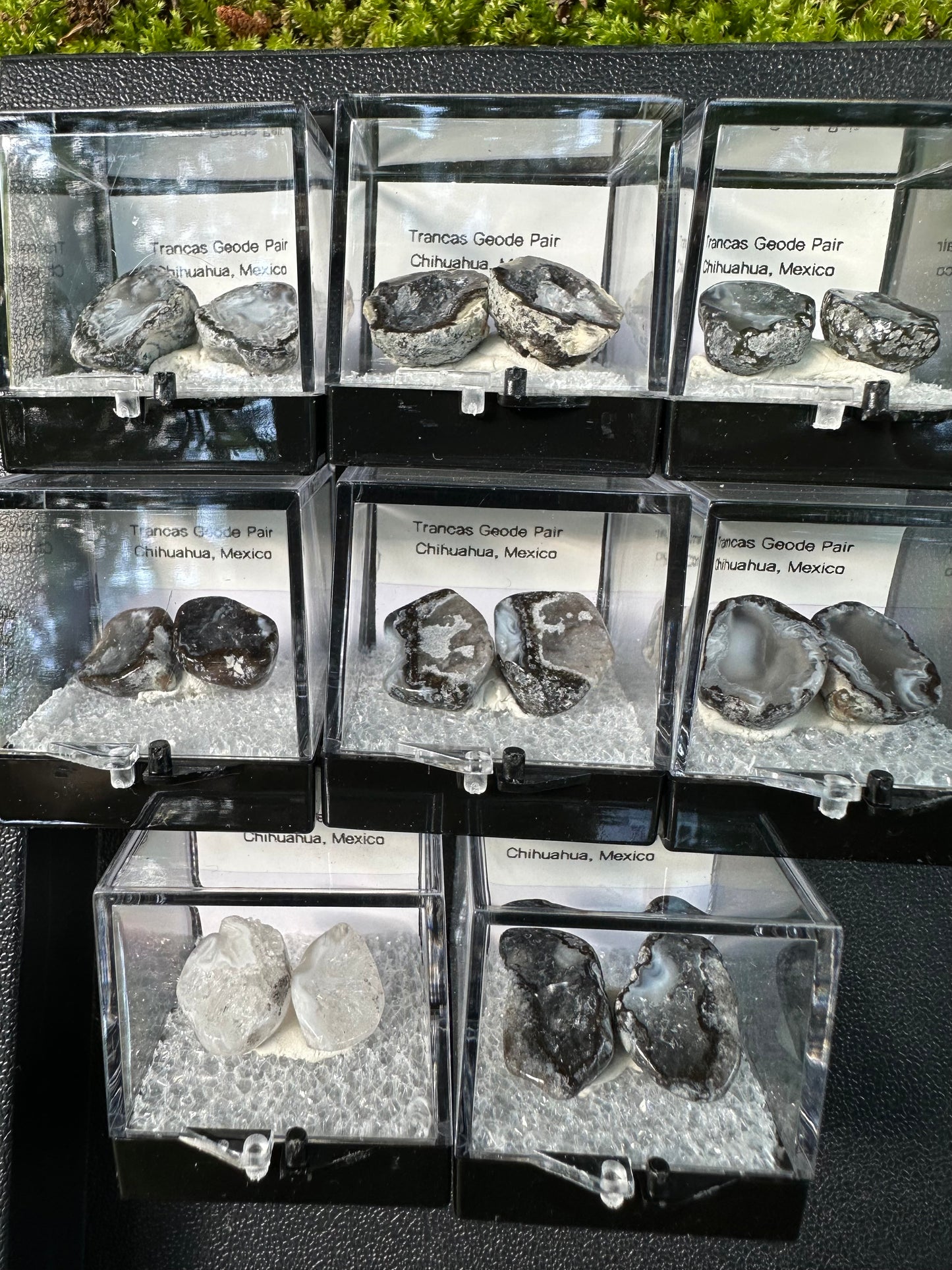 1 Micro Trancas Geode Pair Labeled & In Perky Box- Random Pick