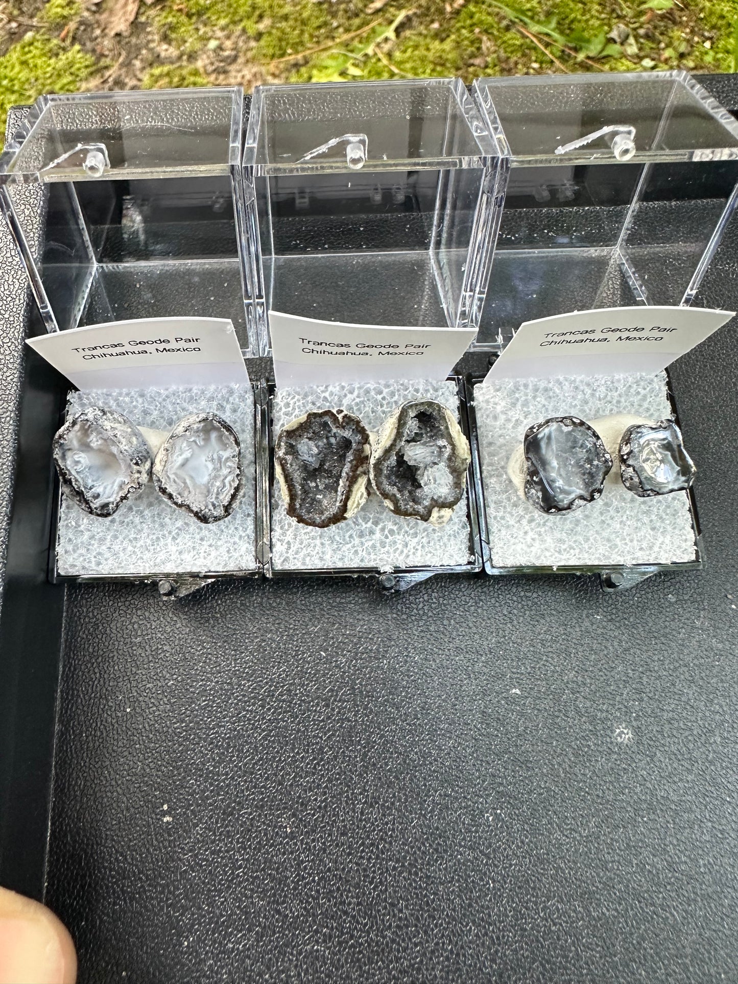1 Micro Trancas Geode Pair Labeled & In Perky Box- Random Pick