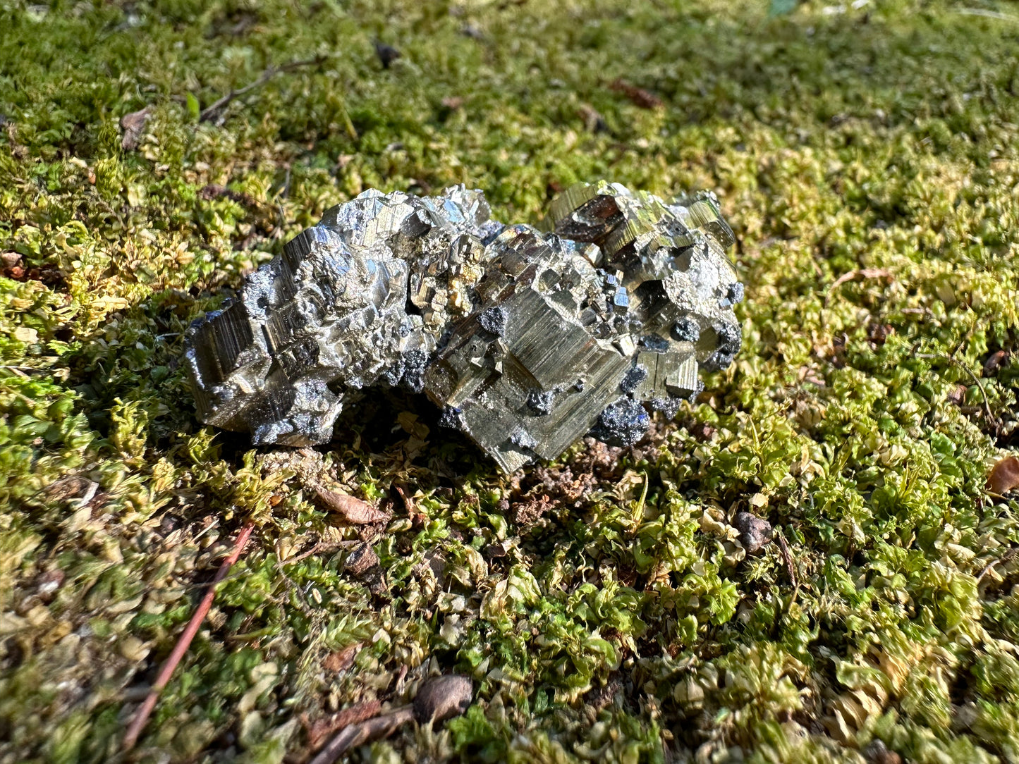 Pyrite & Galena