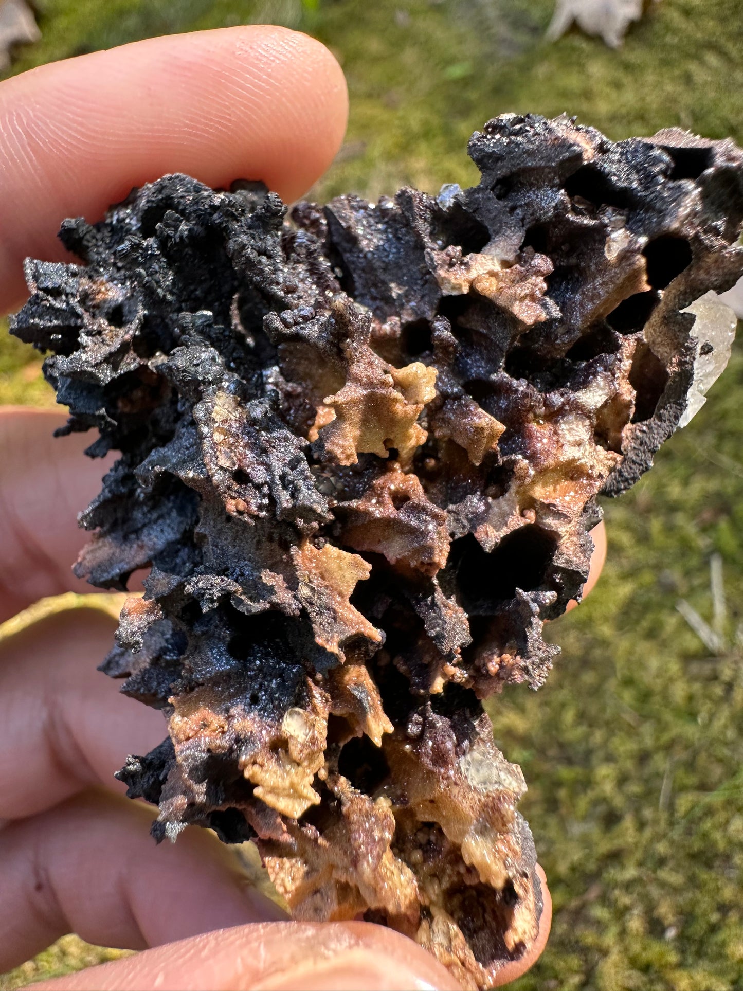 Botryoidal Goethite & Quartz