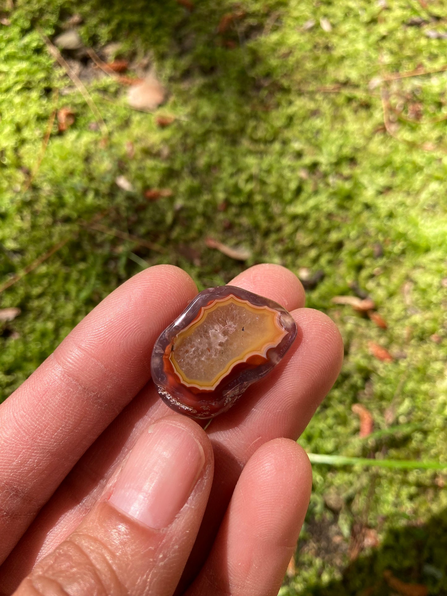 Polished Orange & Red Flame Laguna Agate Floater Pair