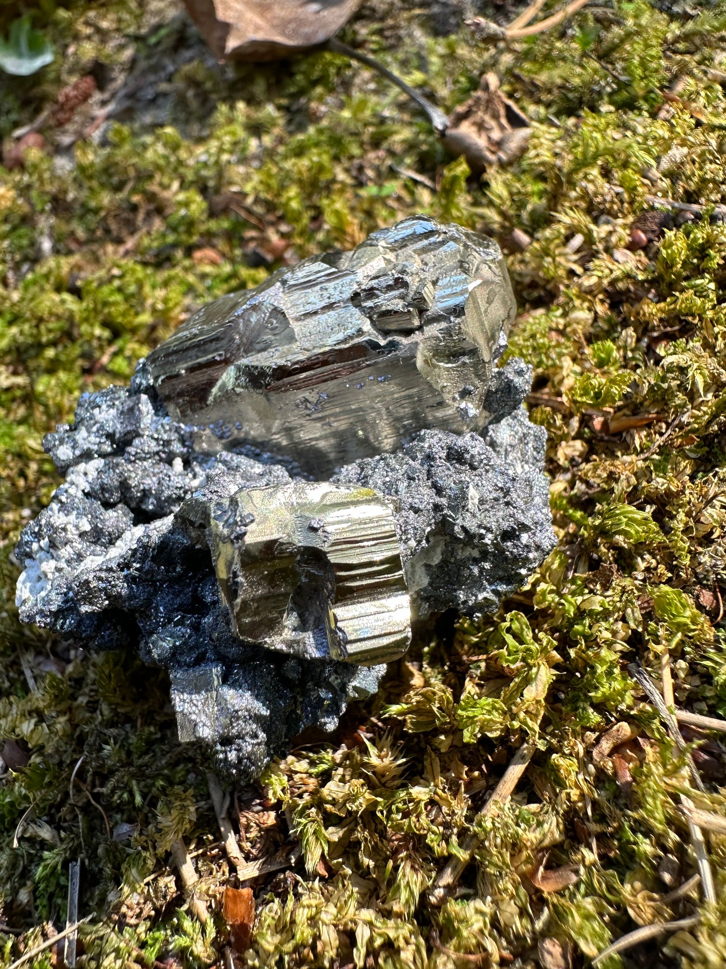Pyrite Galena
