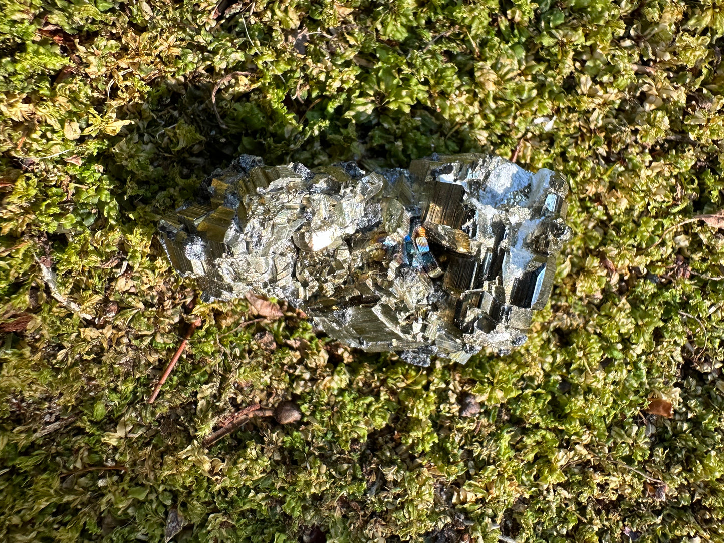 Pyrite & Galena
