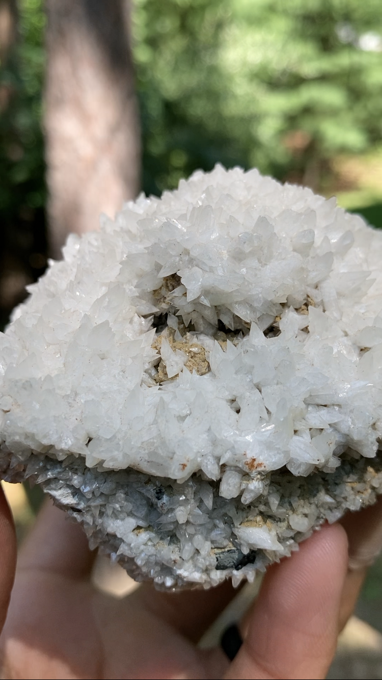 White Dogtooth Calcite Cluster