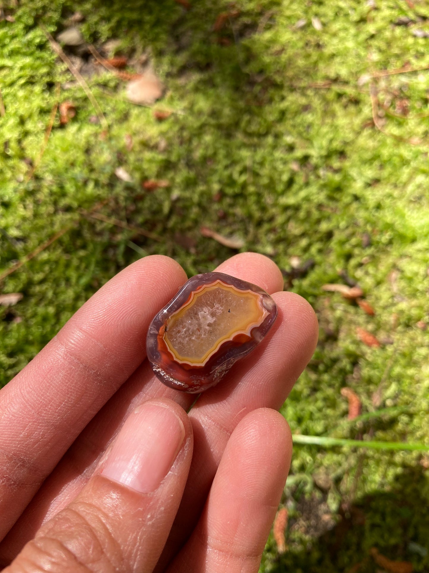 Polished Orange & Red Flame Laguna Agate Floater Pair