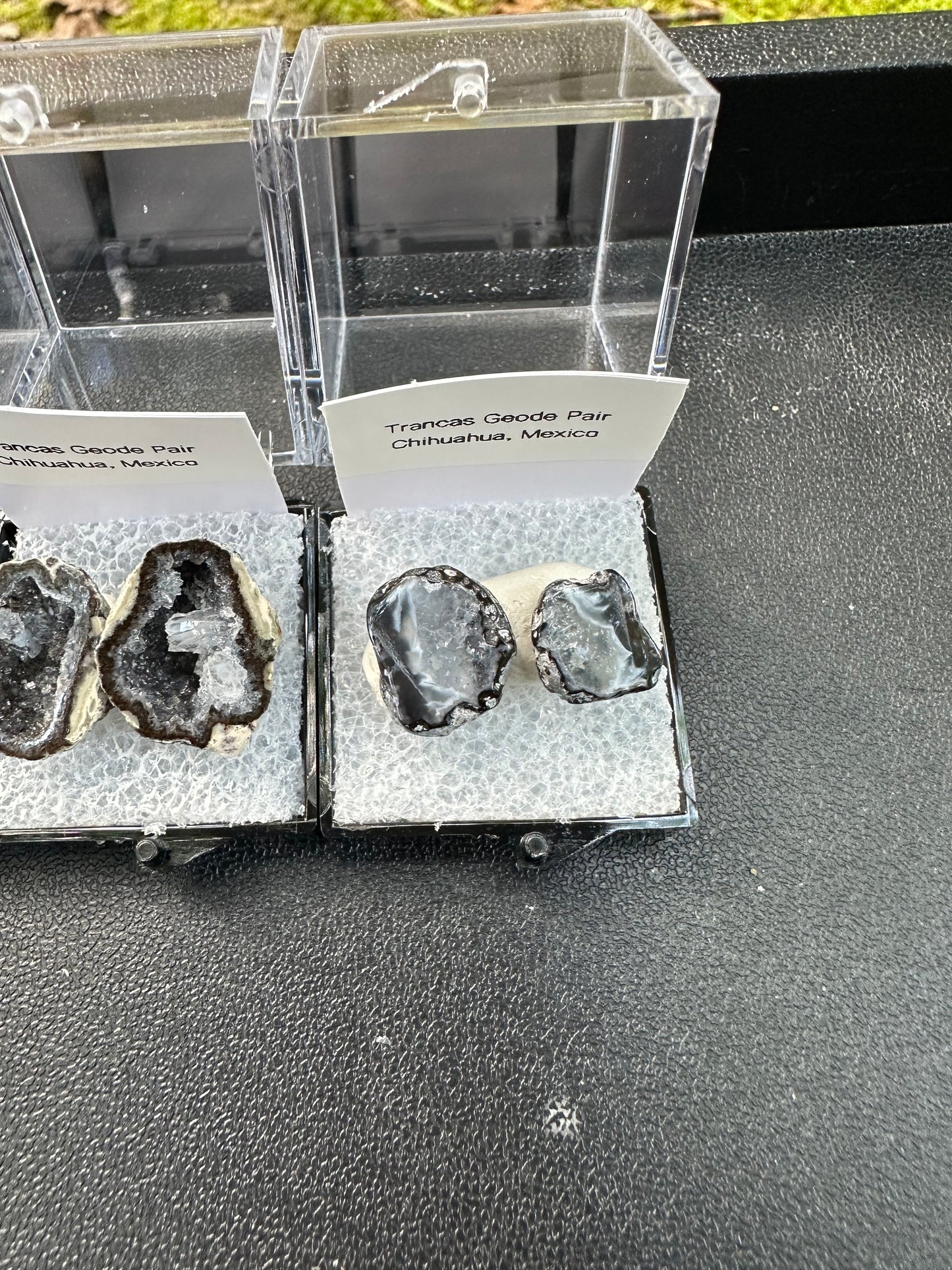 1 Micro Trancas Geode Pair Labeled & In Perky Box- Random Pick