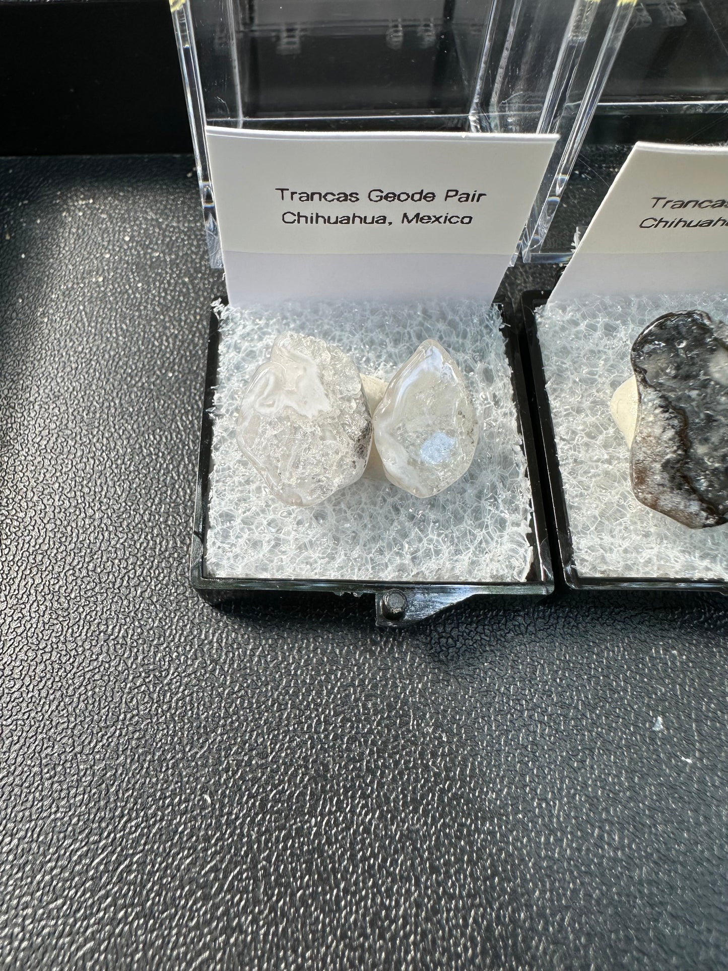 1 Micro Trancas Geode Pair Labeled & In Perky Box- Random Pick