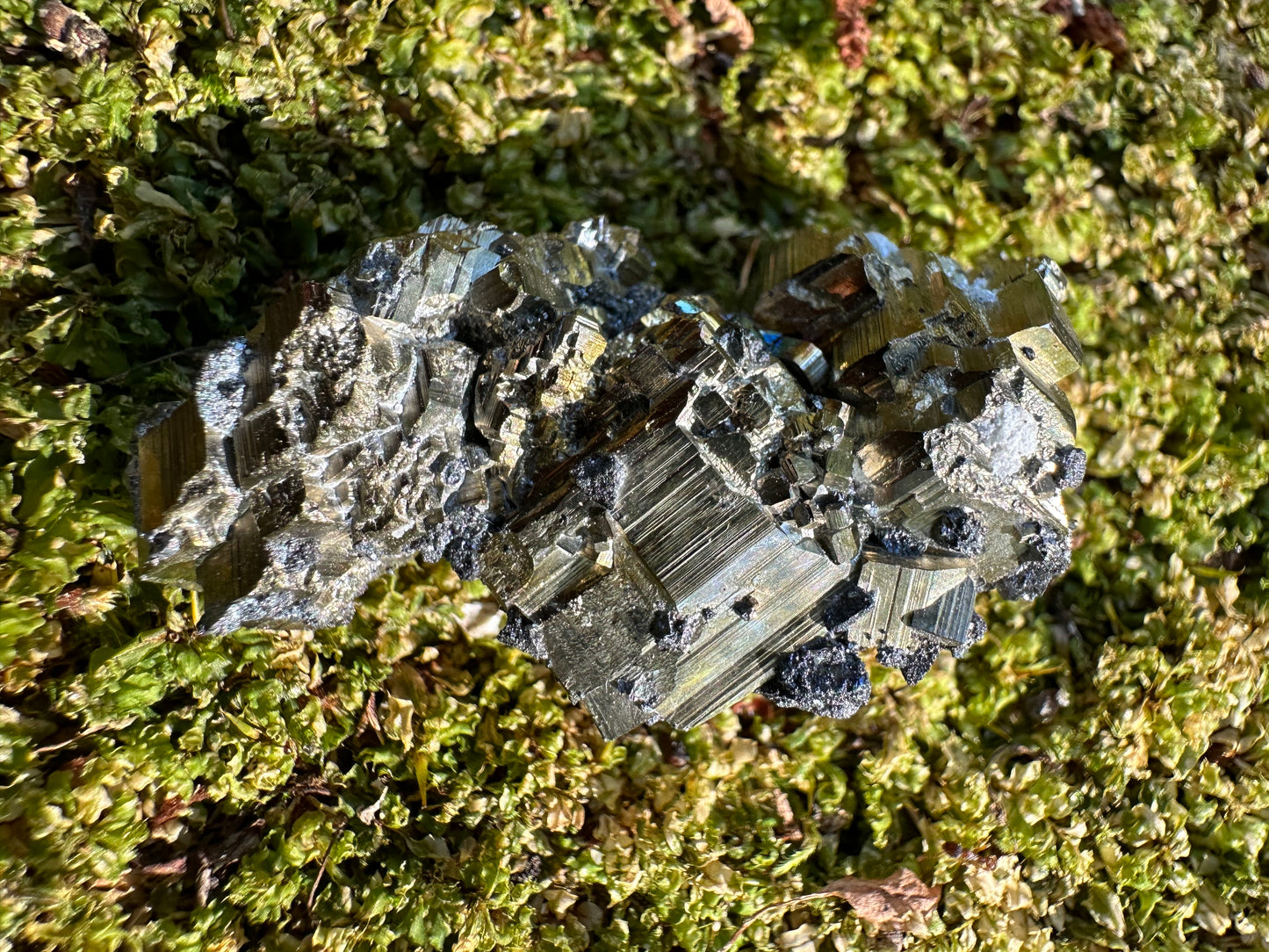 Pyrite & Galena
